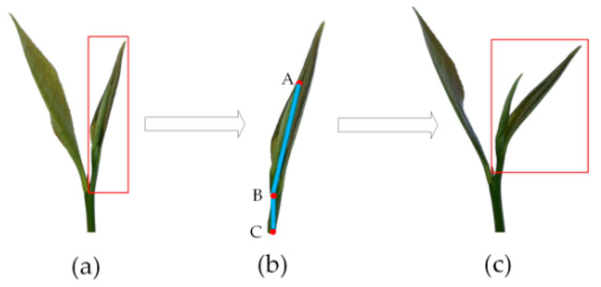 Processes 09 01059 g004 Processes 09 01059 g004