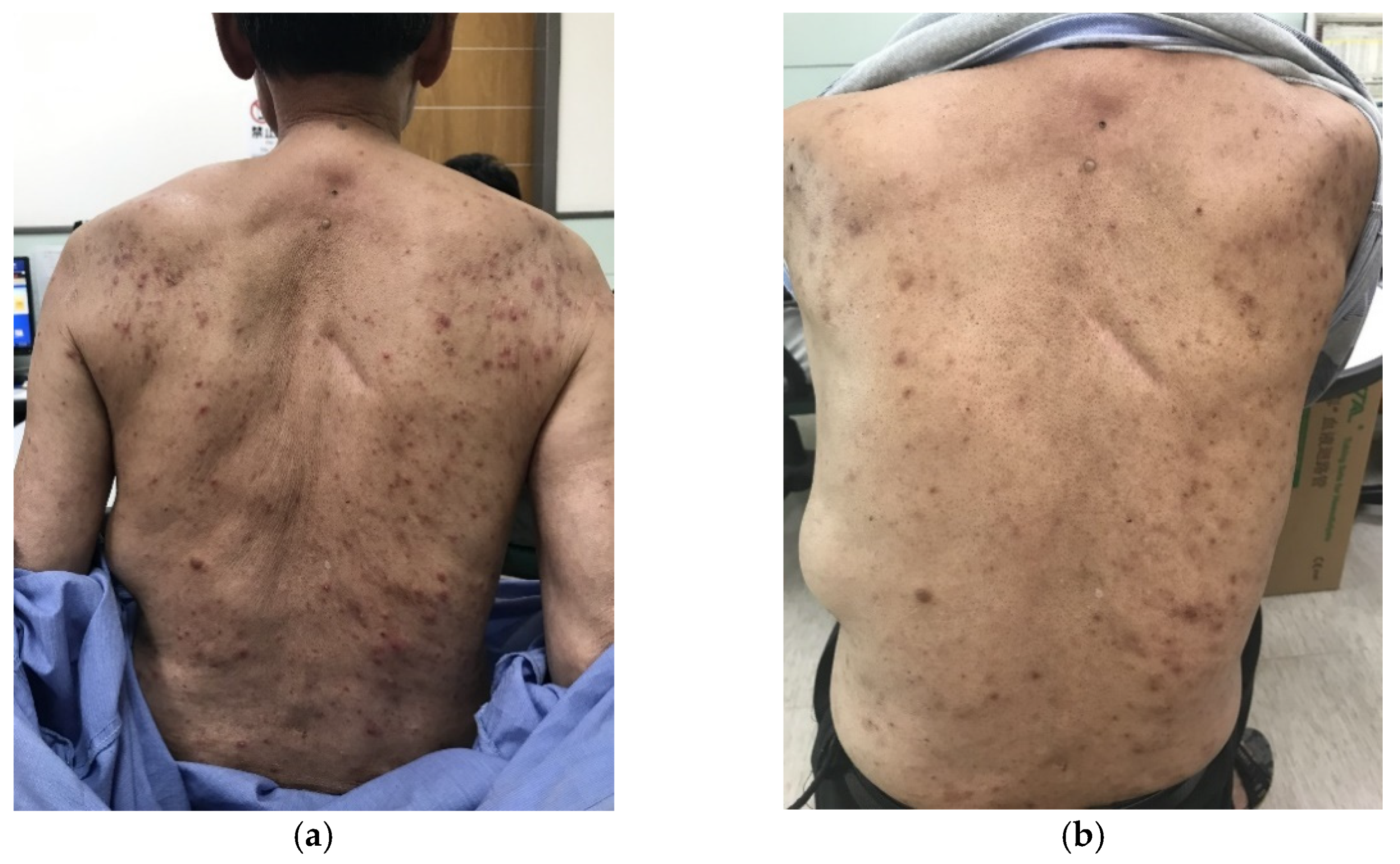 Processes 09 01081 g003