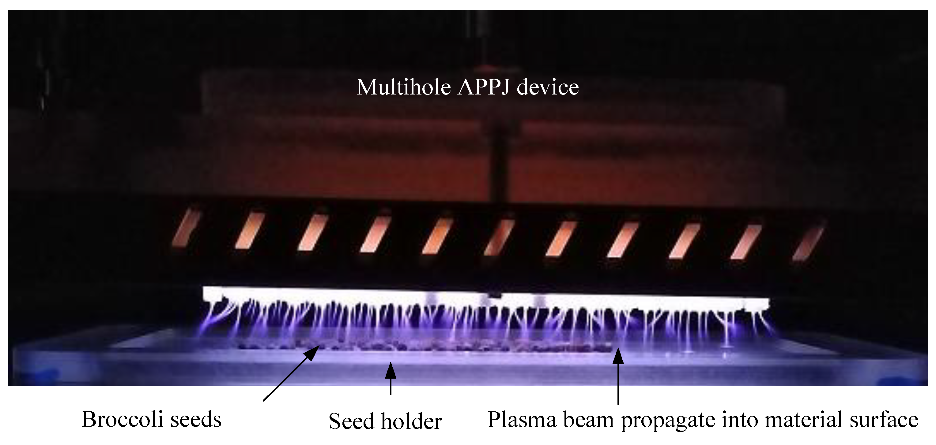 Processes 09 01134 g005