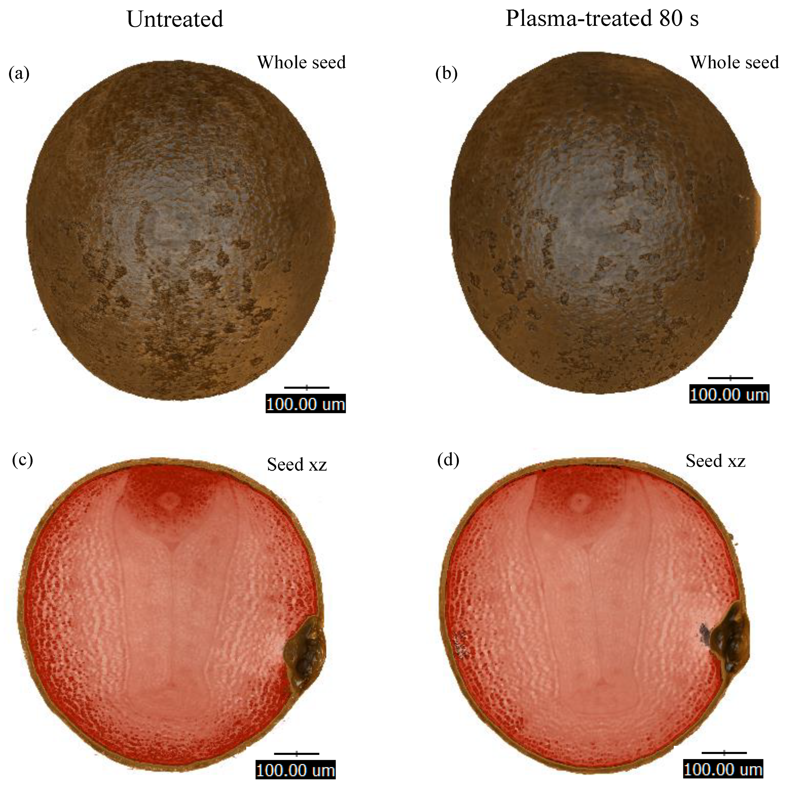 Processes 09 01134 g009