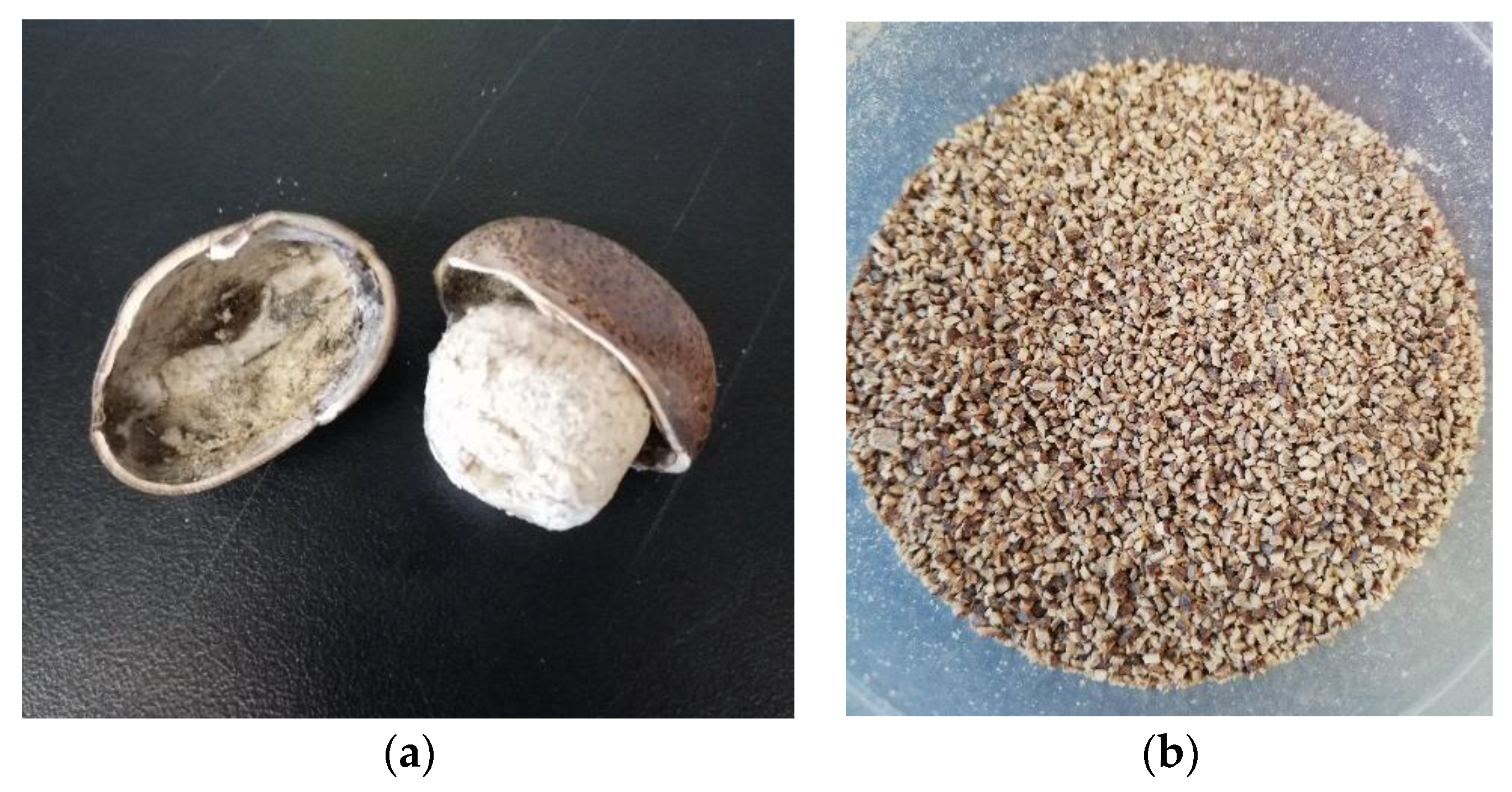 Processes 09 01161 g001 Processes 09 01161 g001