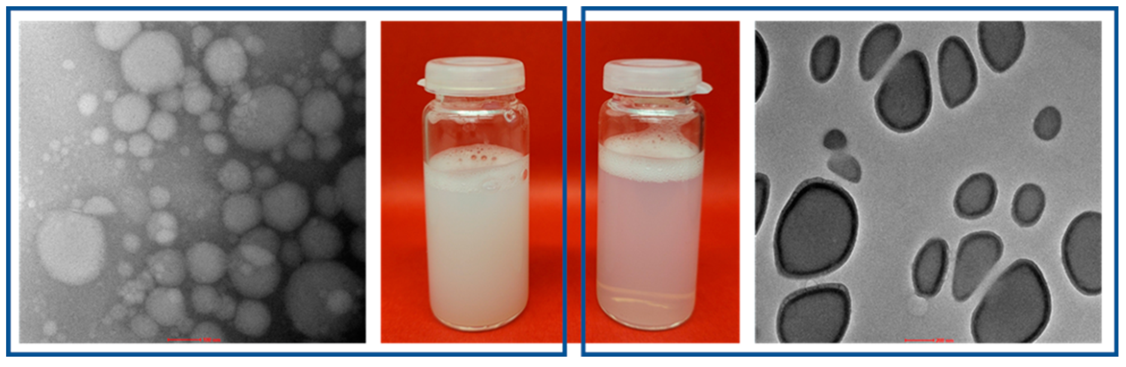 Processes 09 01180 g003