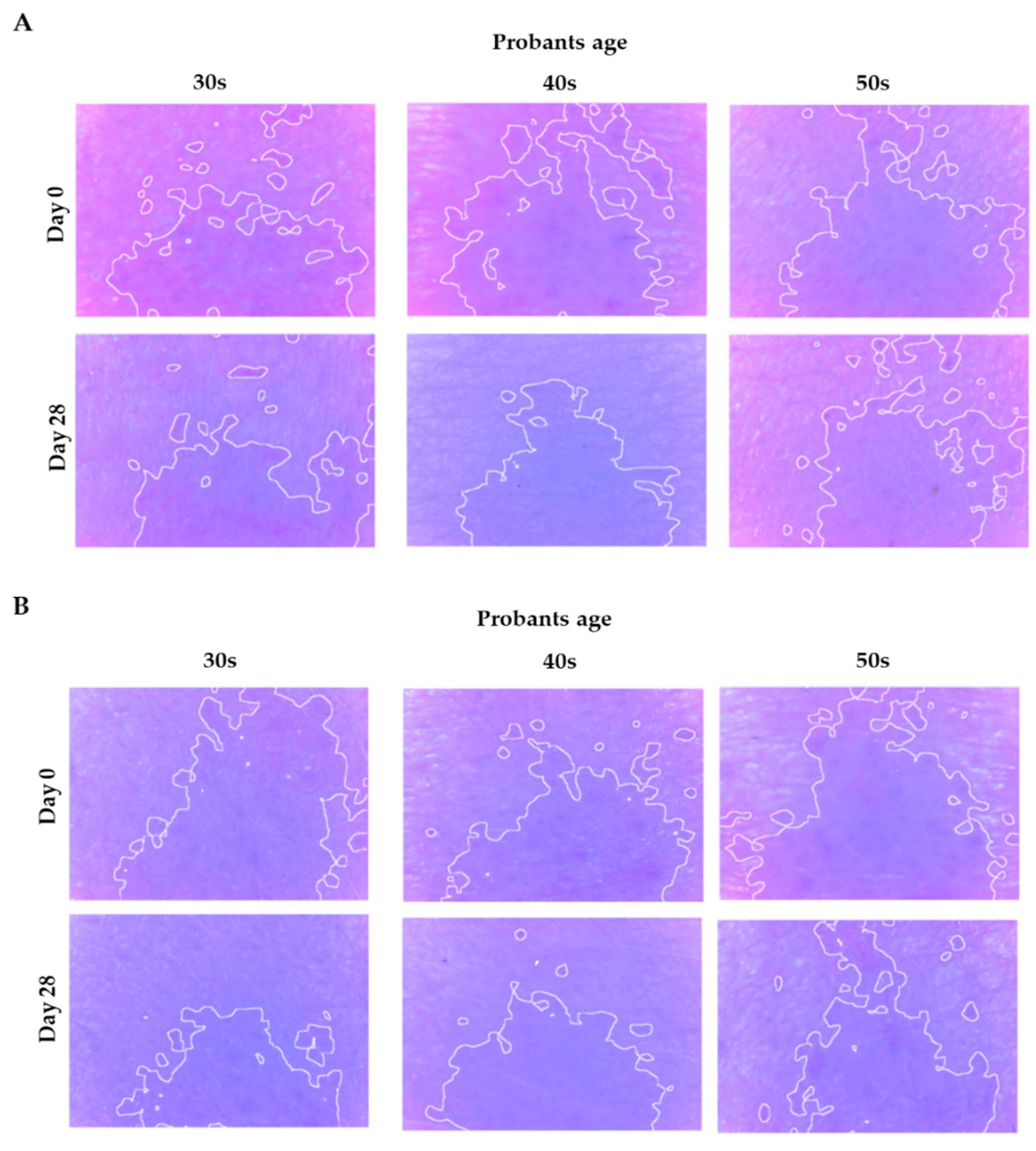 Processes 09 01180 g007