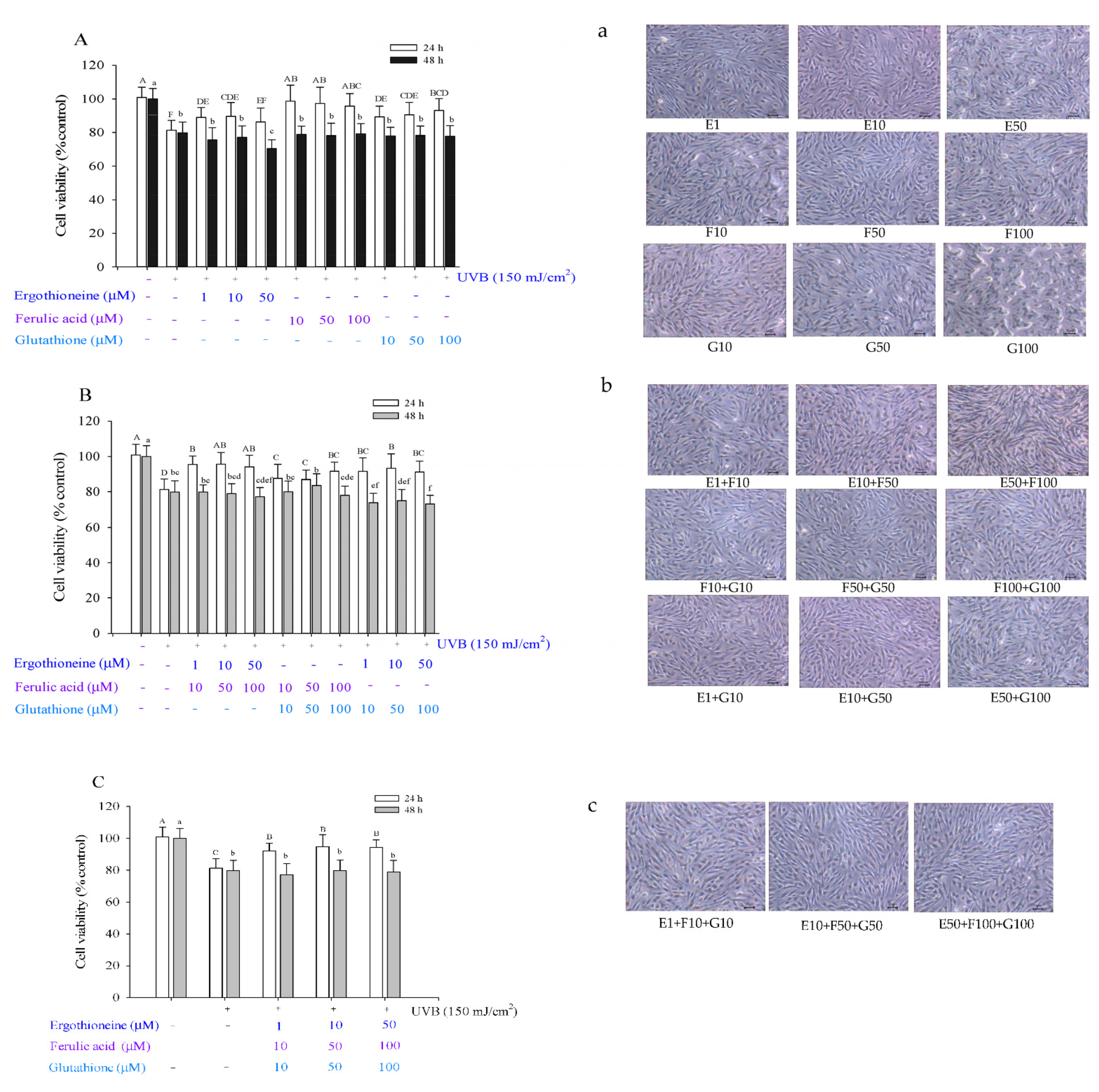Processes 09 01204 g004
