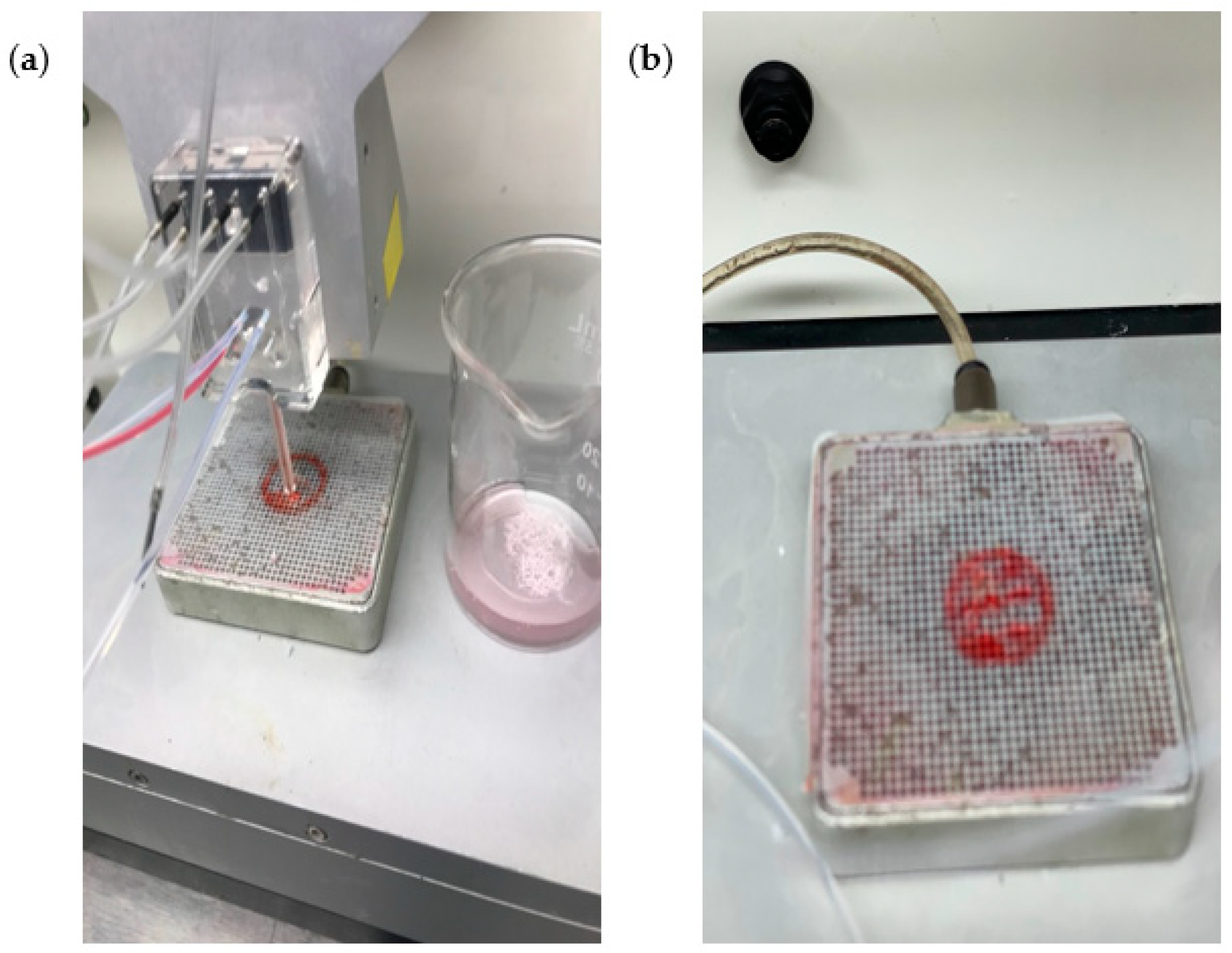 Processes 09 01205 g002