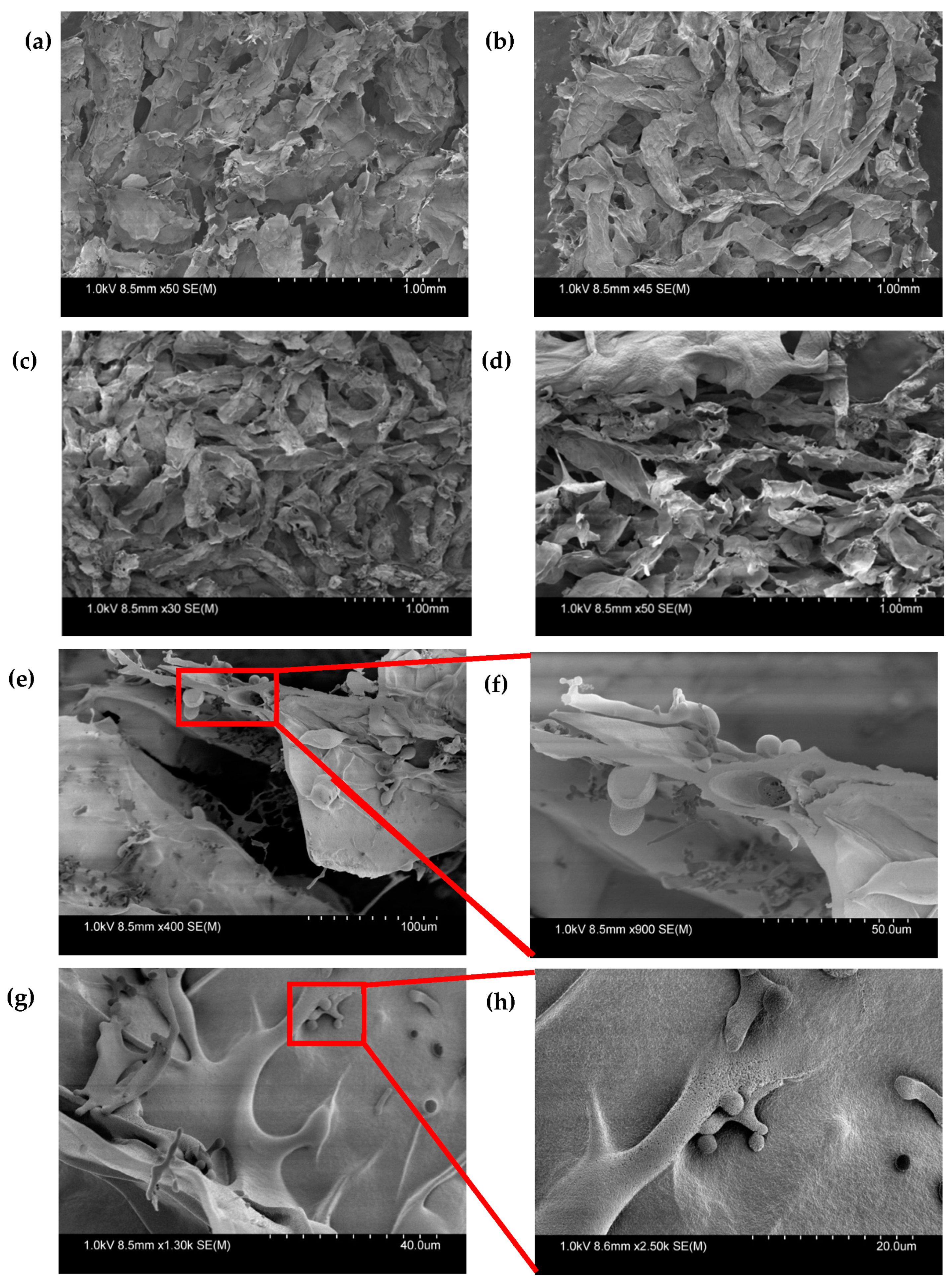 Processes 09 01205 g010