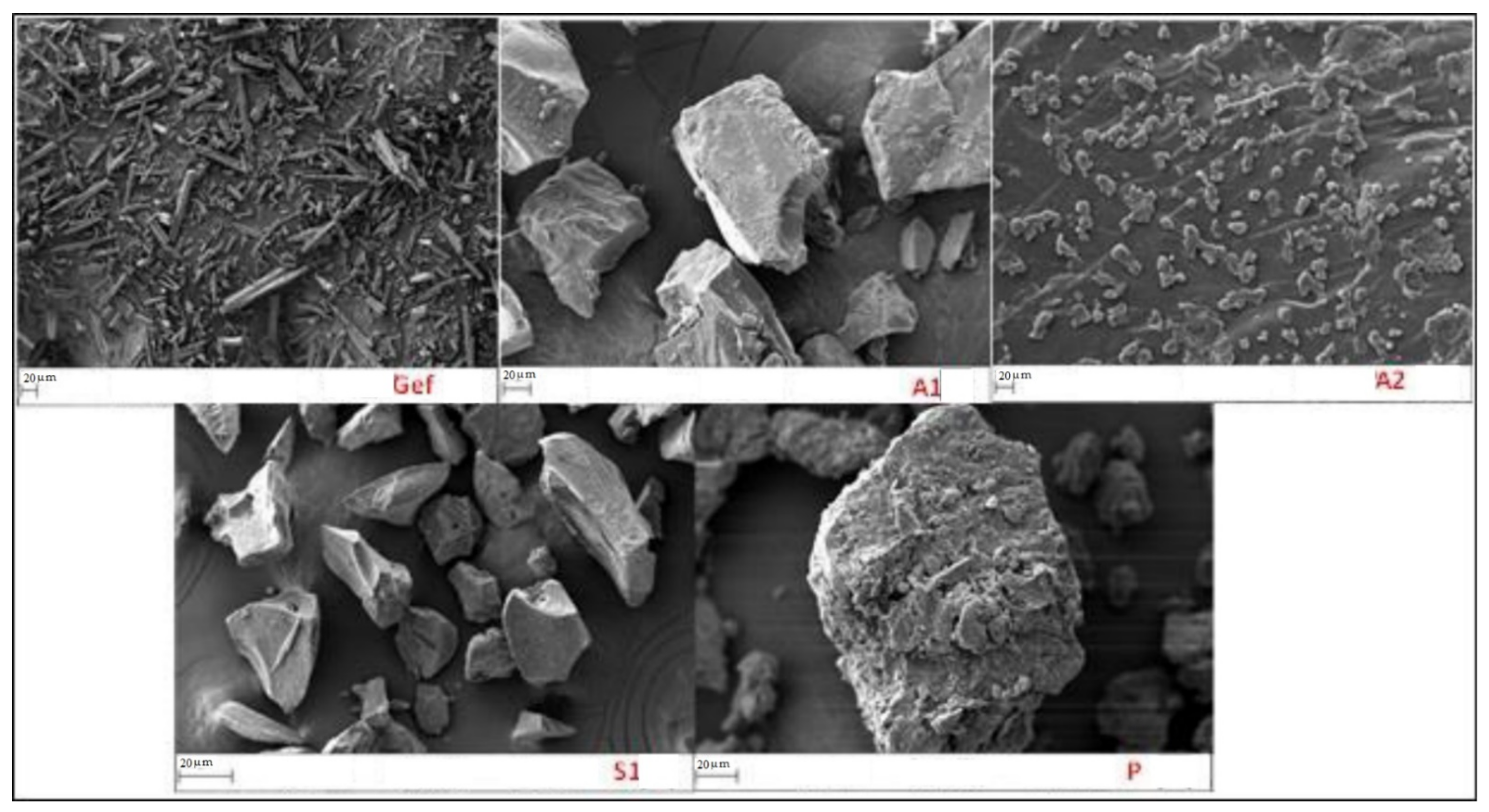 Processes 09 01210 g004