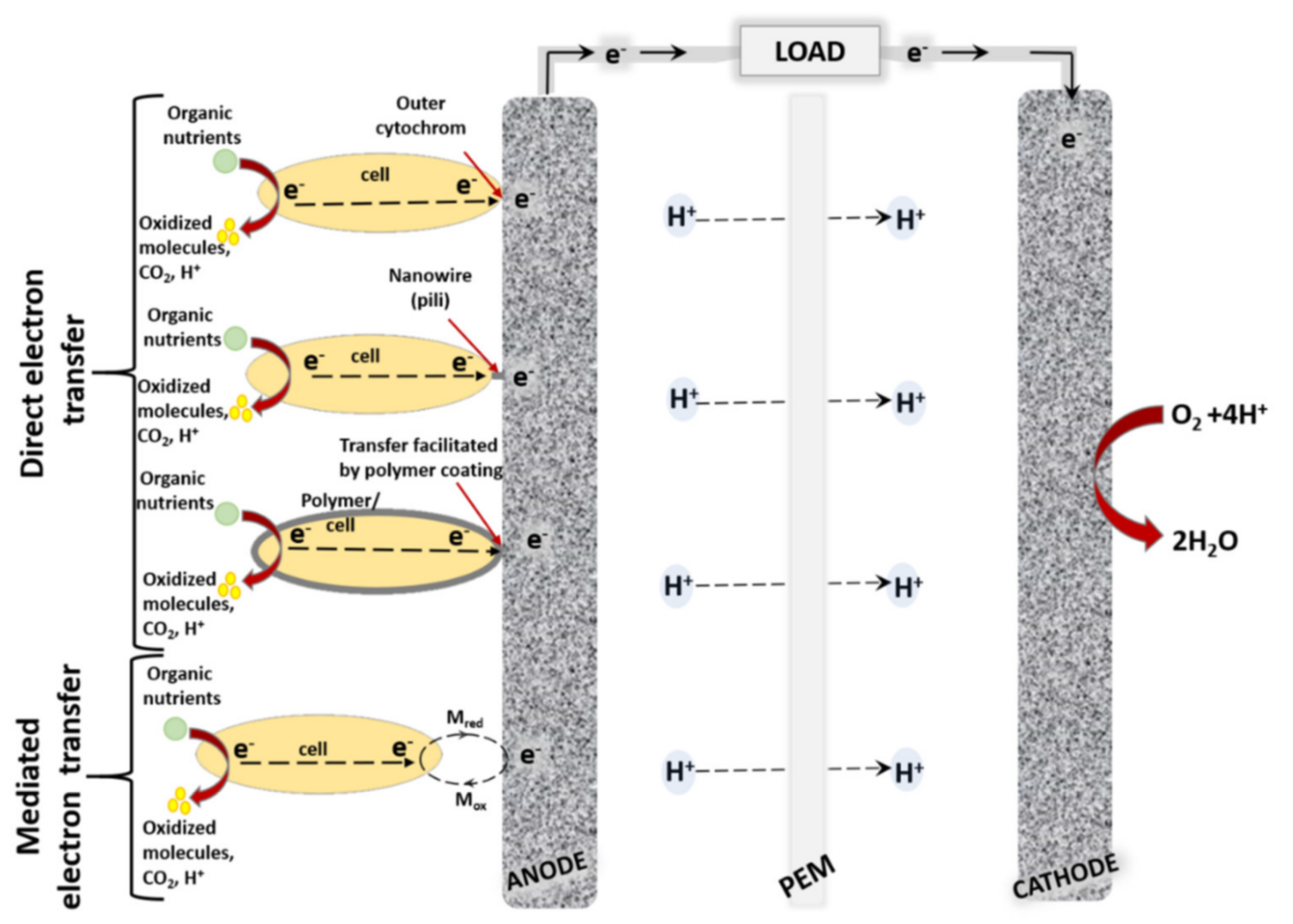 Processes 09 01221 g001