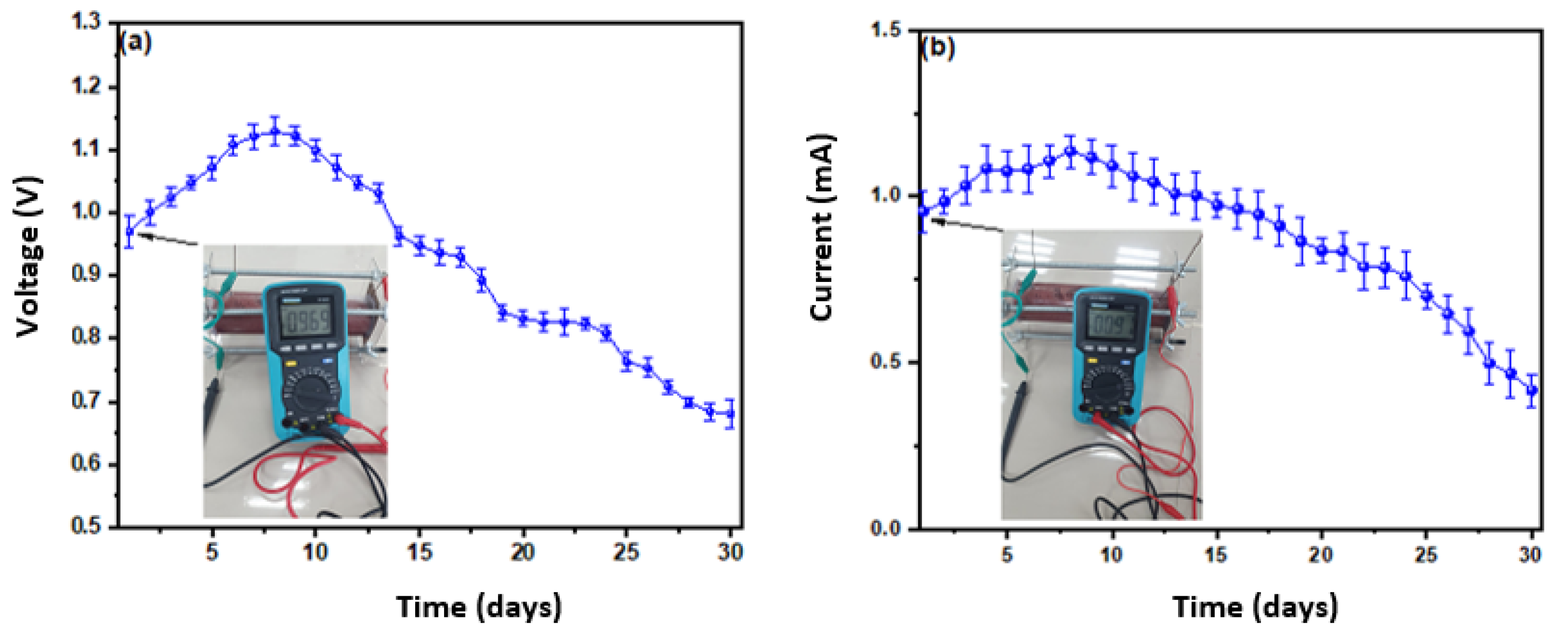 Processes 09 01301 g002