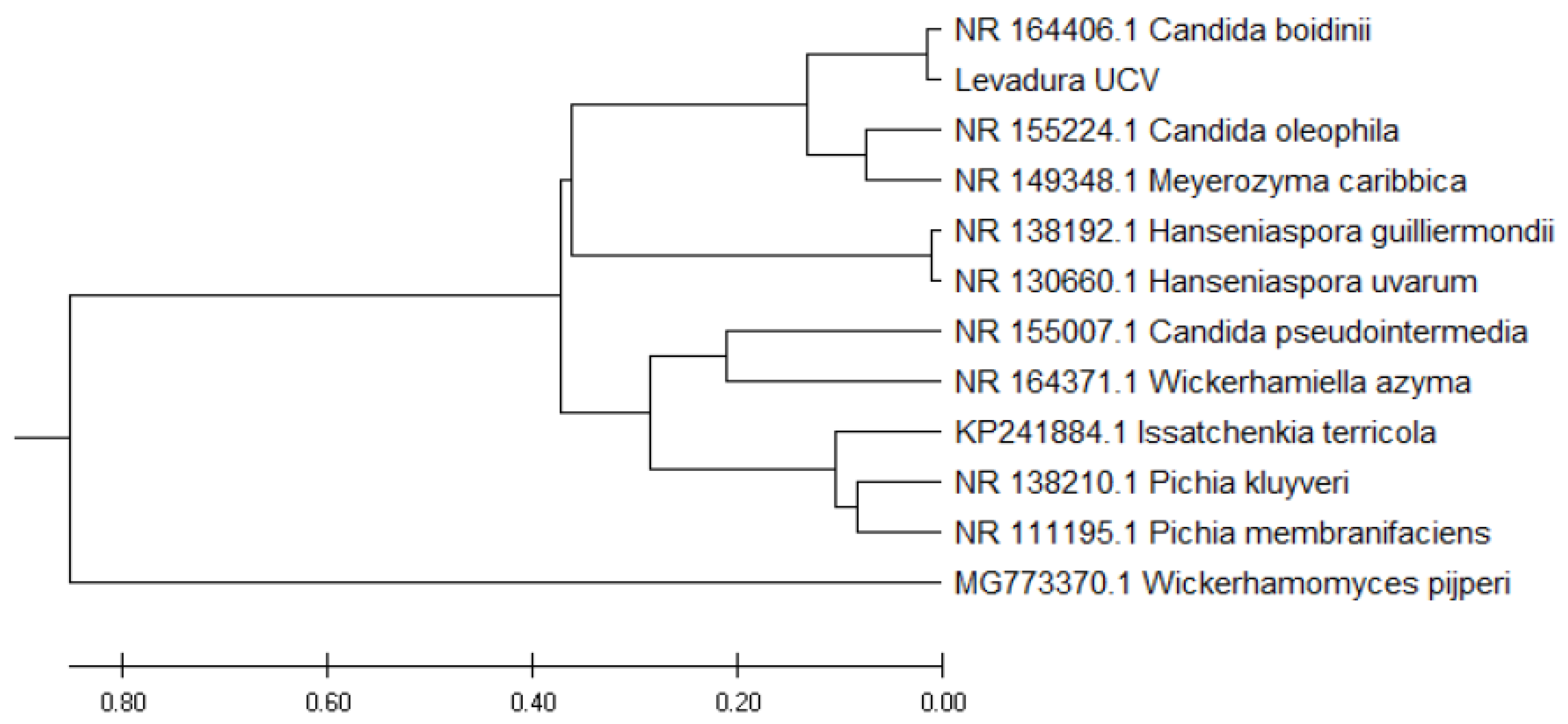 Processes 09 01301 g005