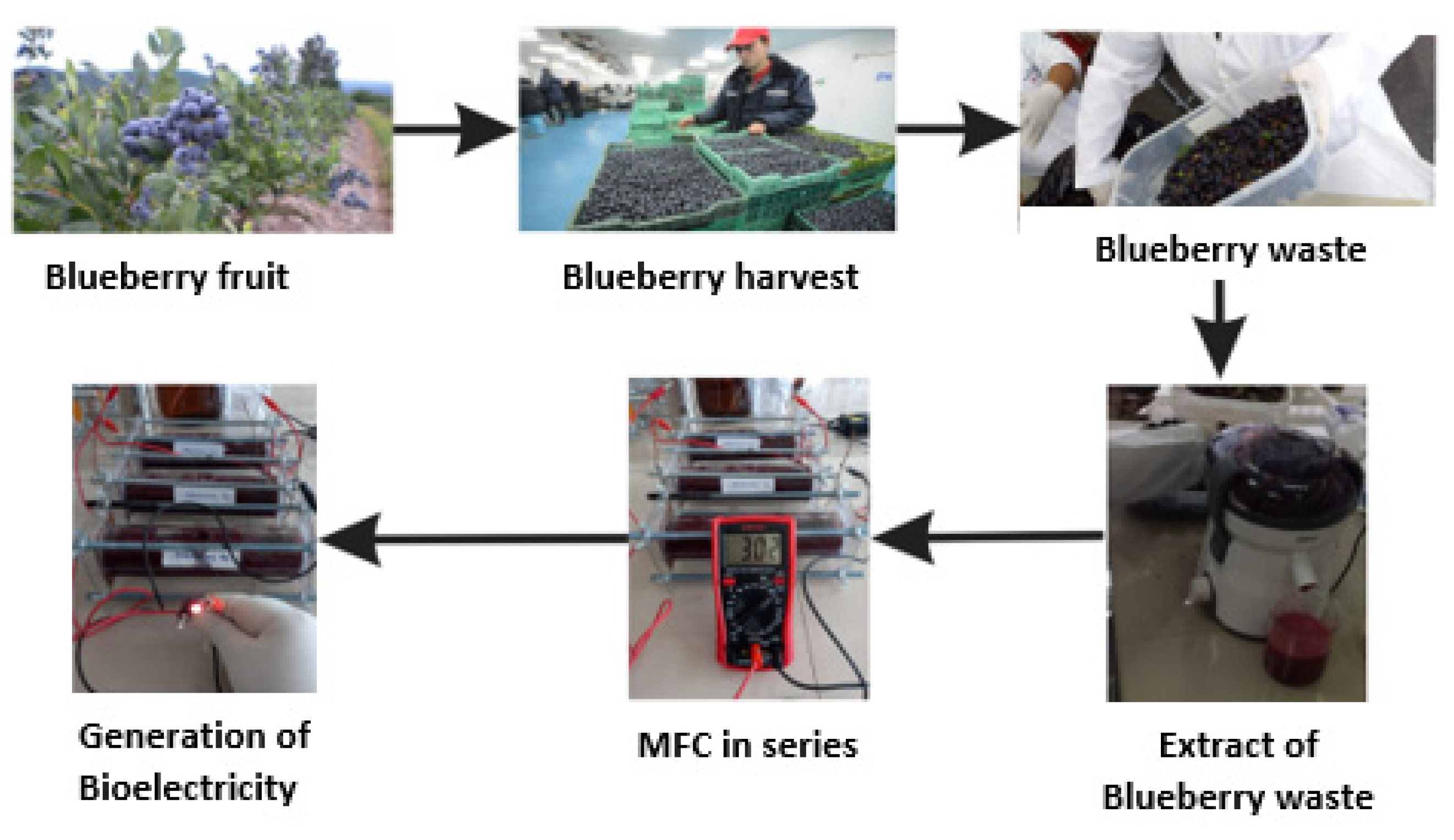 Processes 09 01301 g006