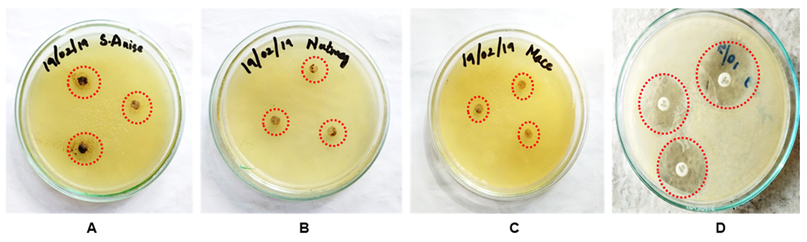 Processes 09 01341 g008