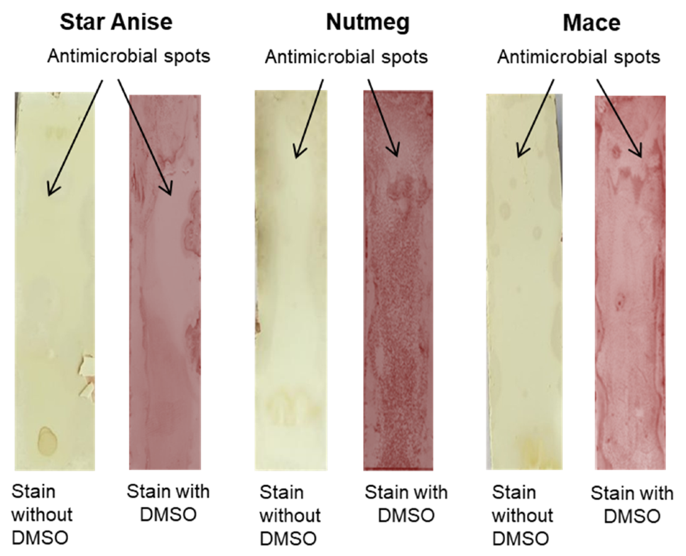 Processes 09 01341 g010