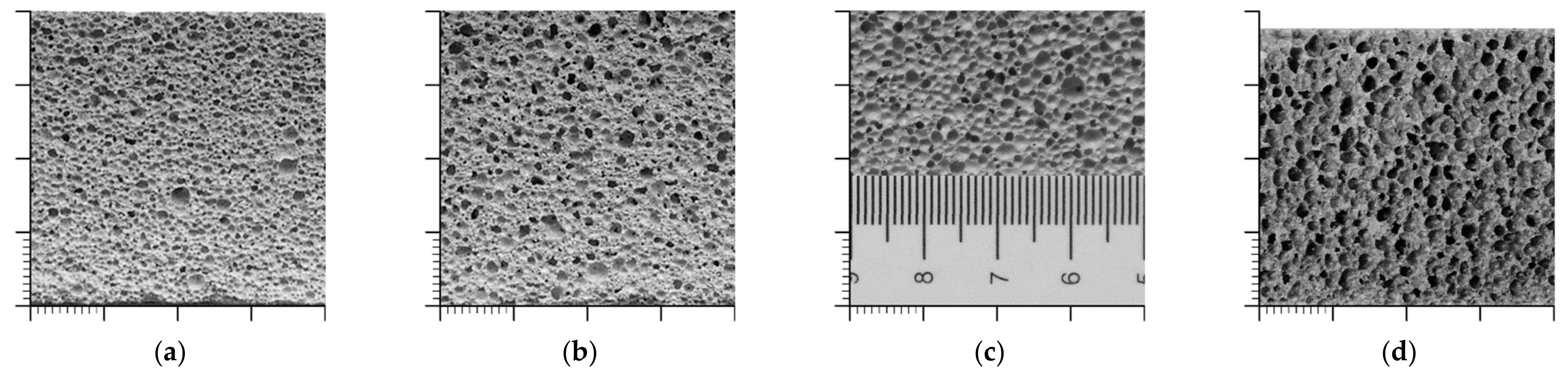 Processes 09 01373 g004