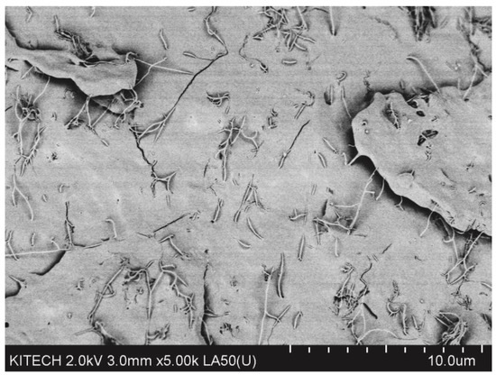 Processes 09 01395 g0a1 550