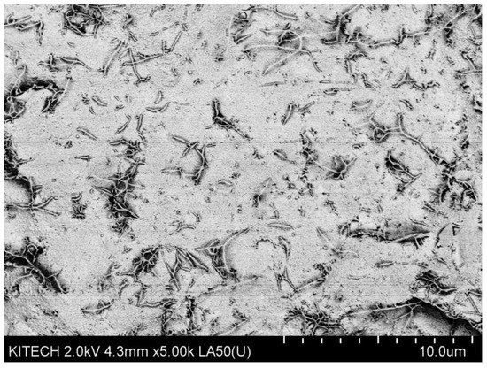 Processes 09 01395 g0a2 550