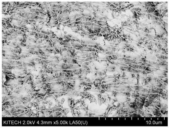 Processes 09 01395 g0a3 550