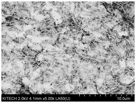 Processes 09 01395 g0a4 550