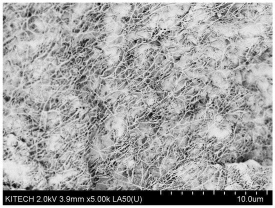 Processes 09 01395 g0a5 550