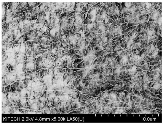 Processes 09 01395 g0a6 550