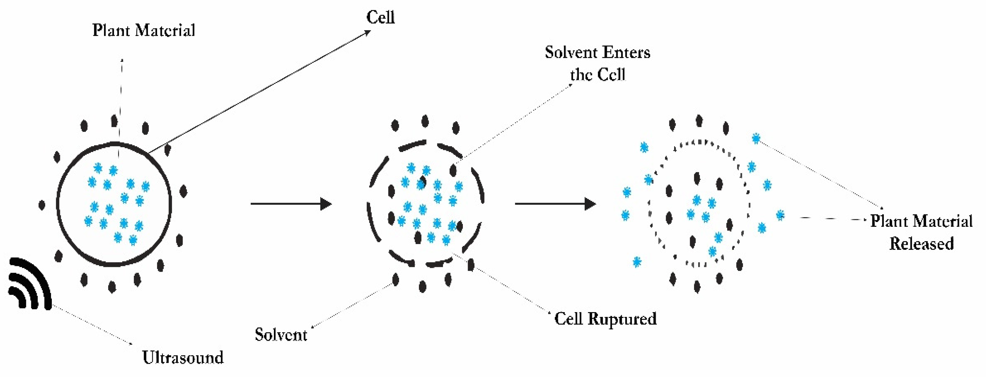 Processes 09 01406 g004