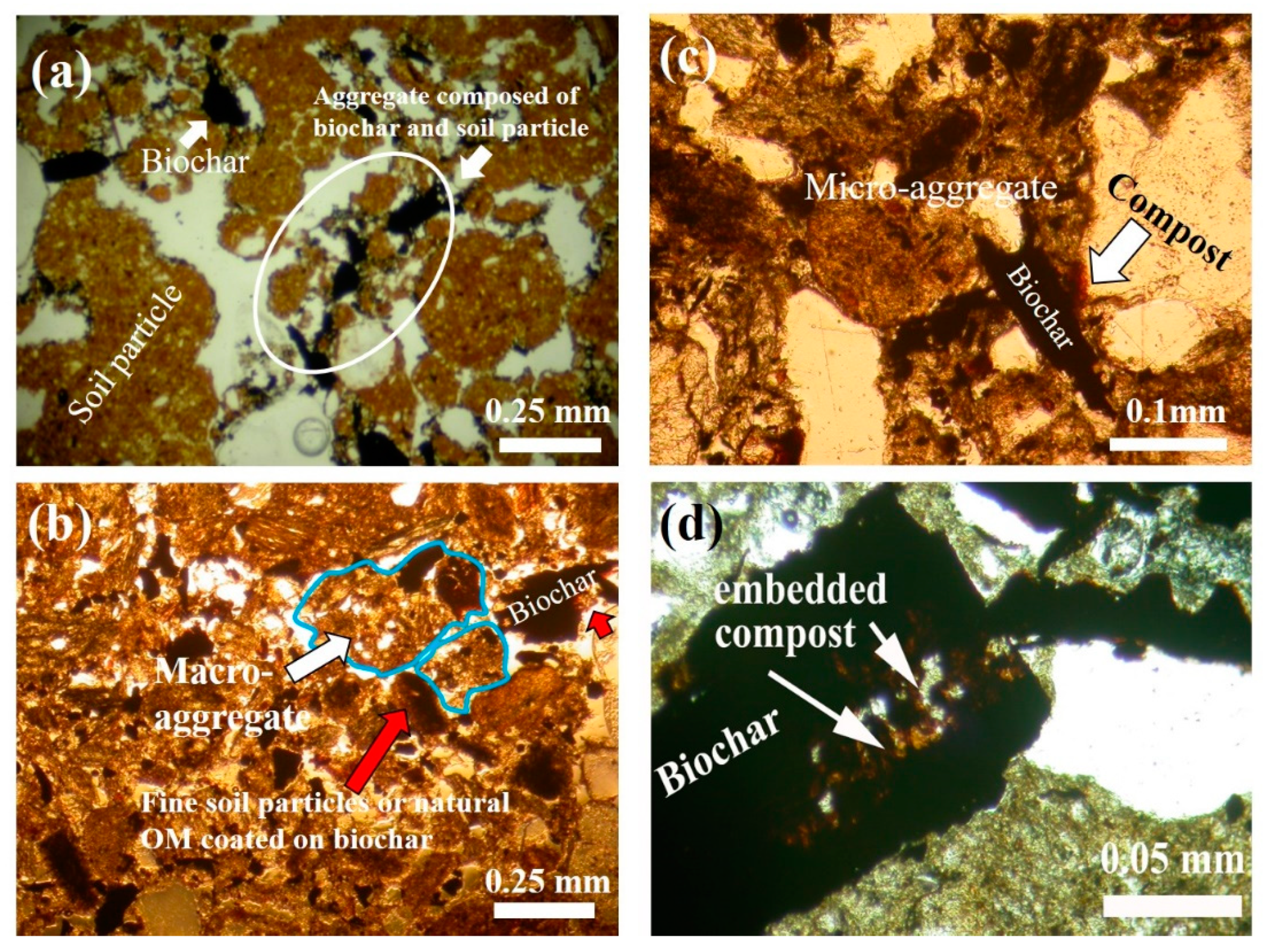 Processes 09 01431 g006