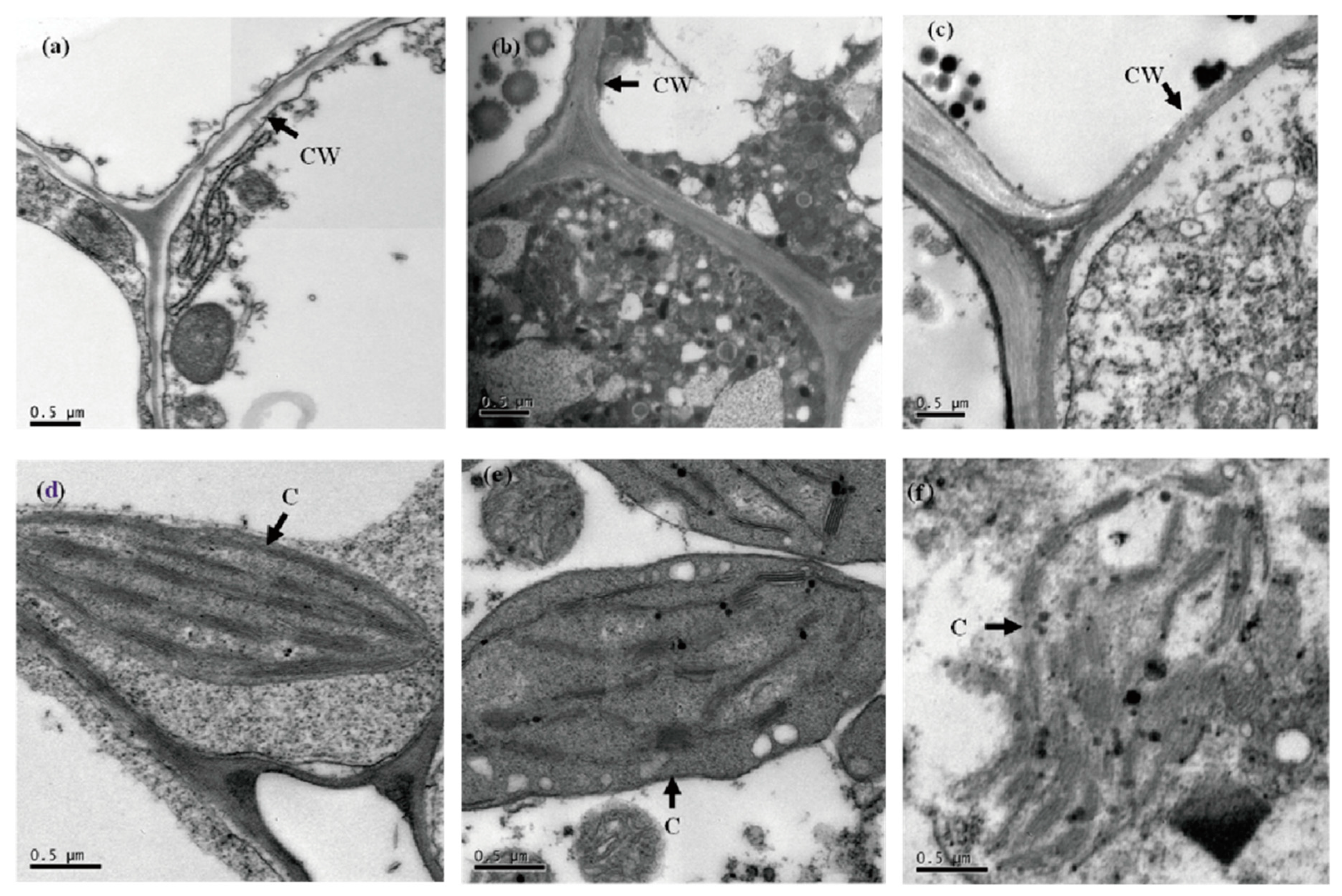Processes 09 01451 g006