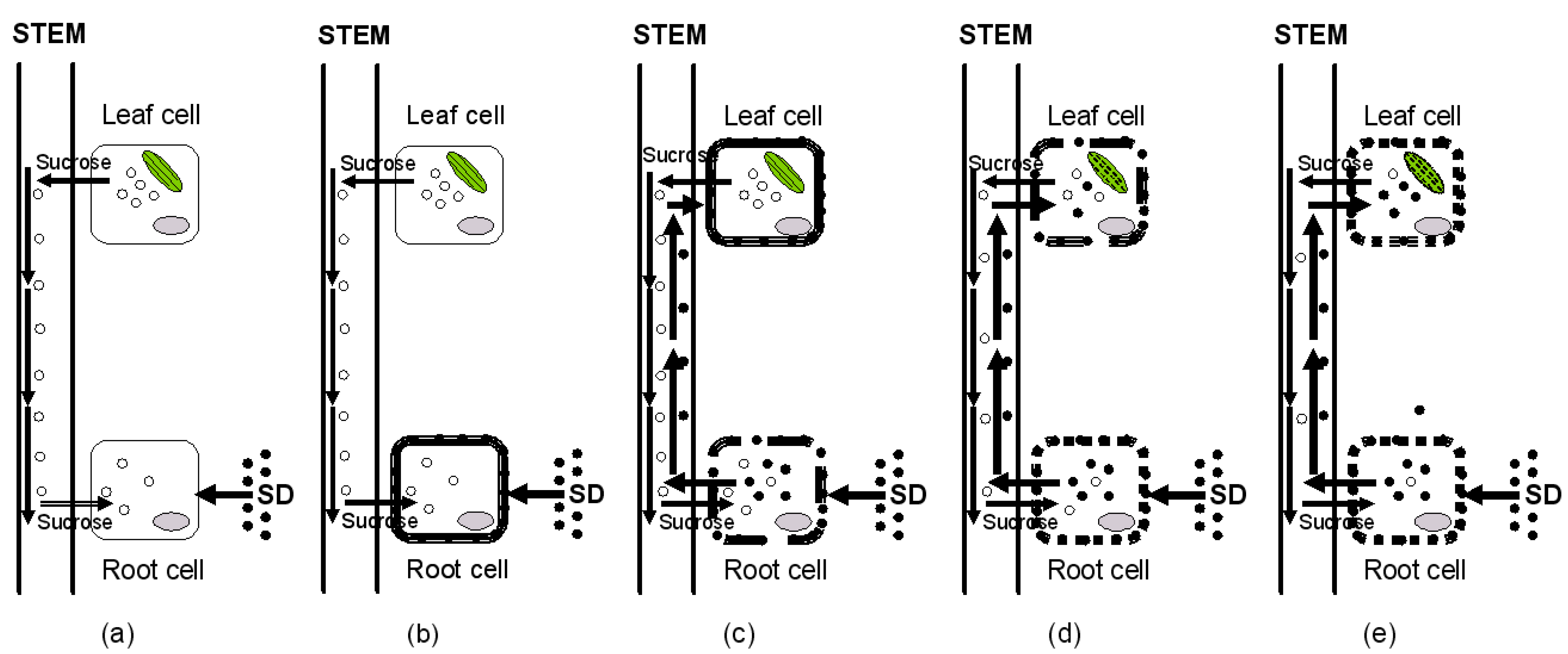 Processes 09 01451 g007