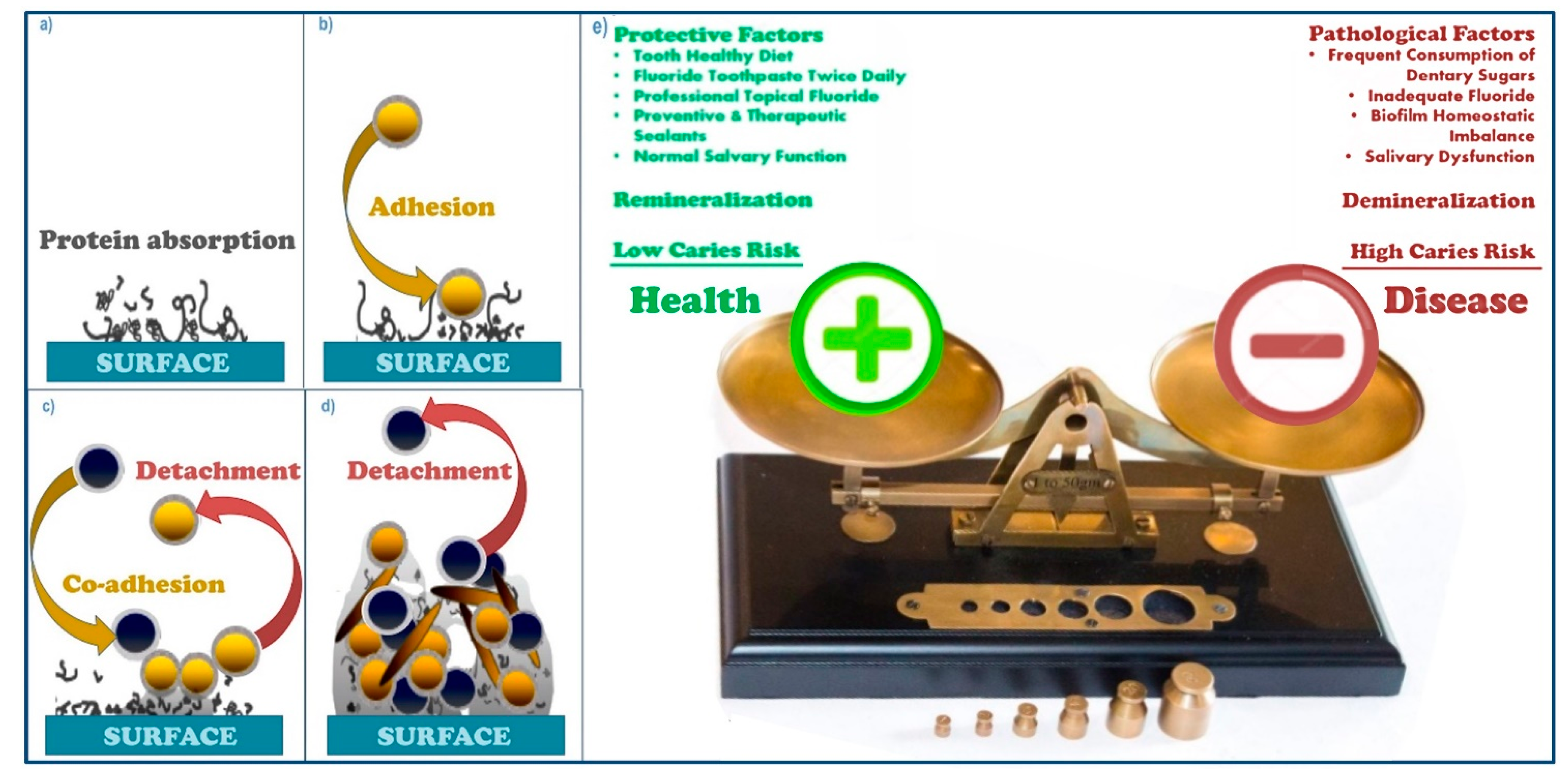 Processes 09 01467 g001