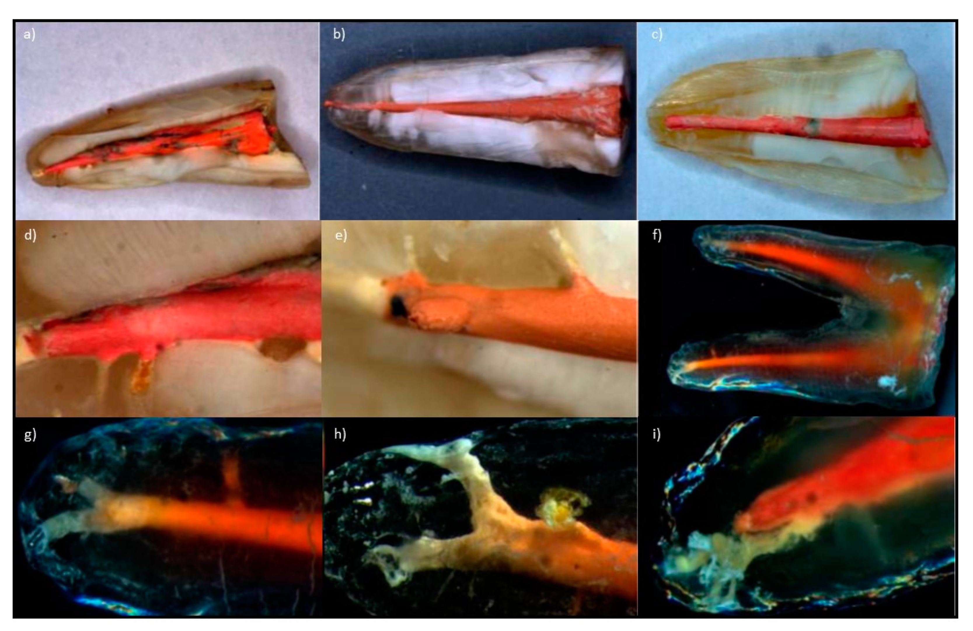Processes 09 01467 g008