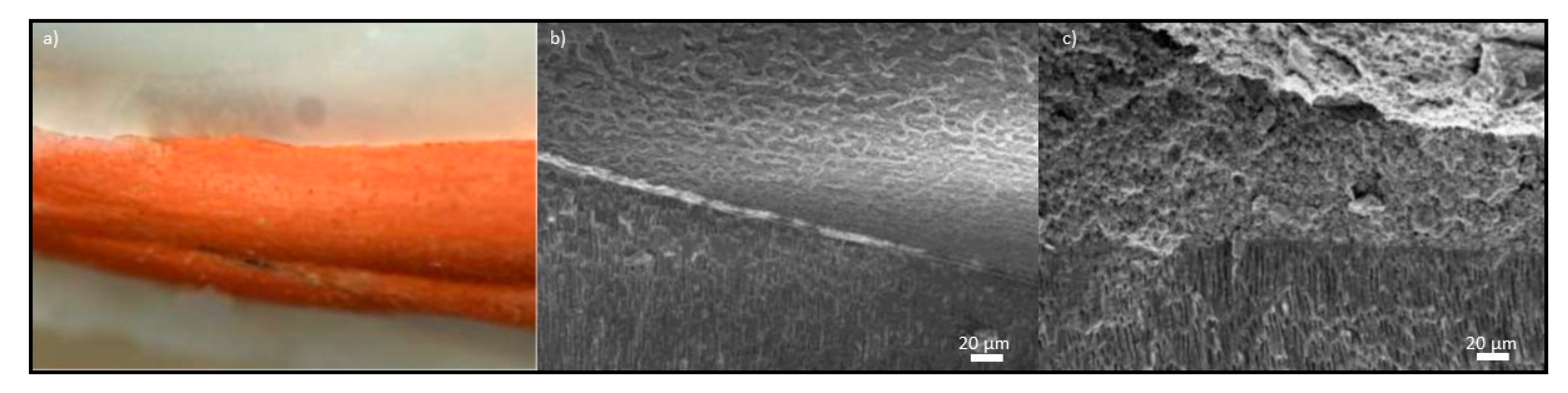 Processes 09 01467 g010