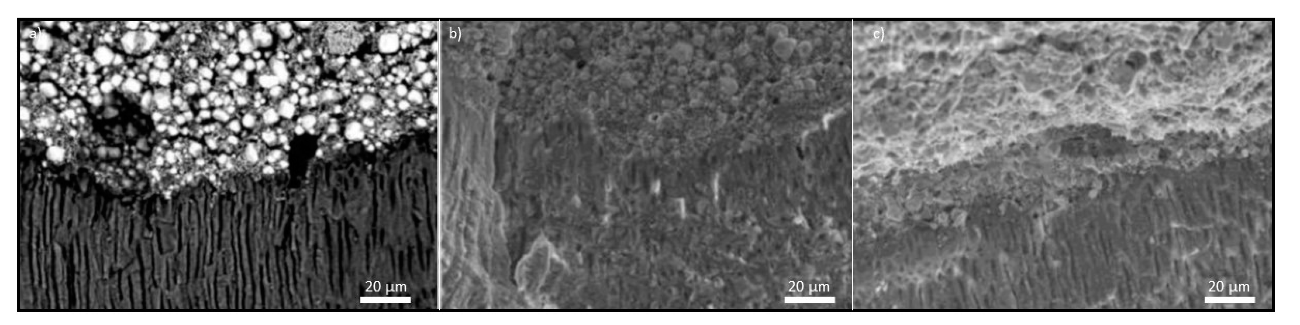 Processes 09 01467 g012