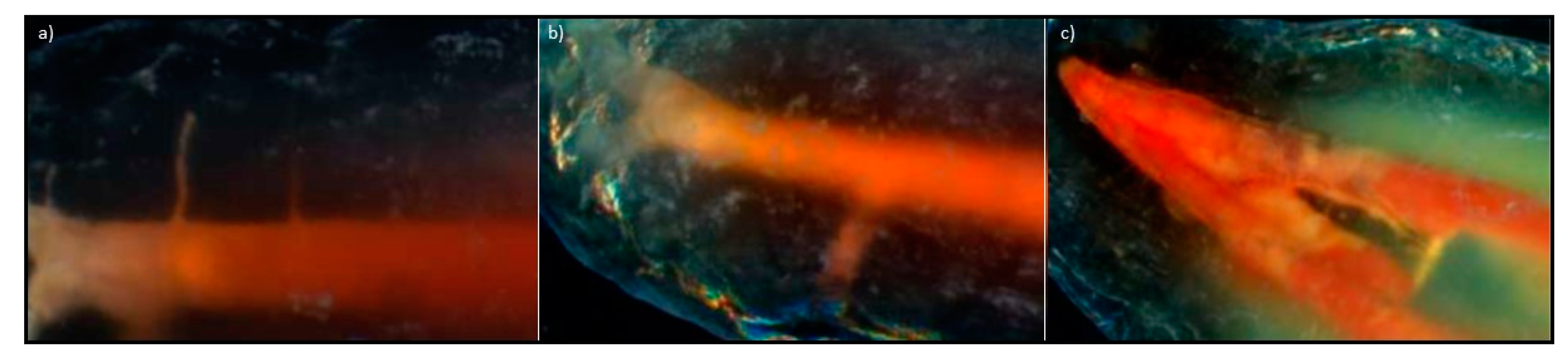 Processes 09 01467 g013