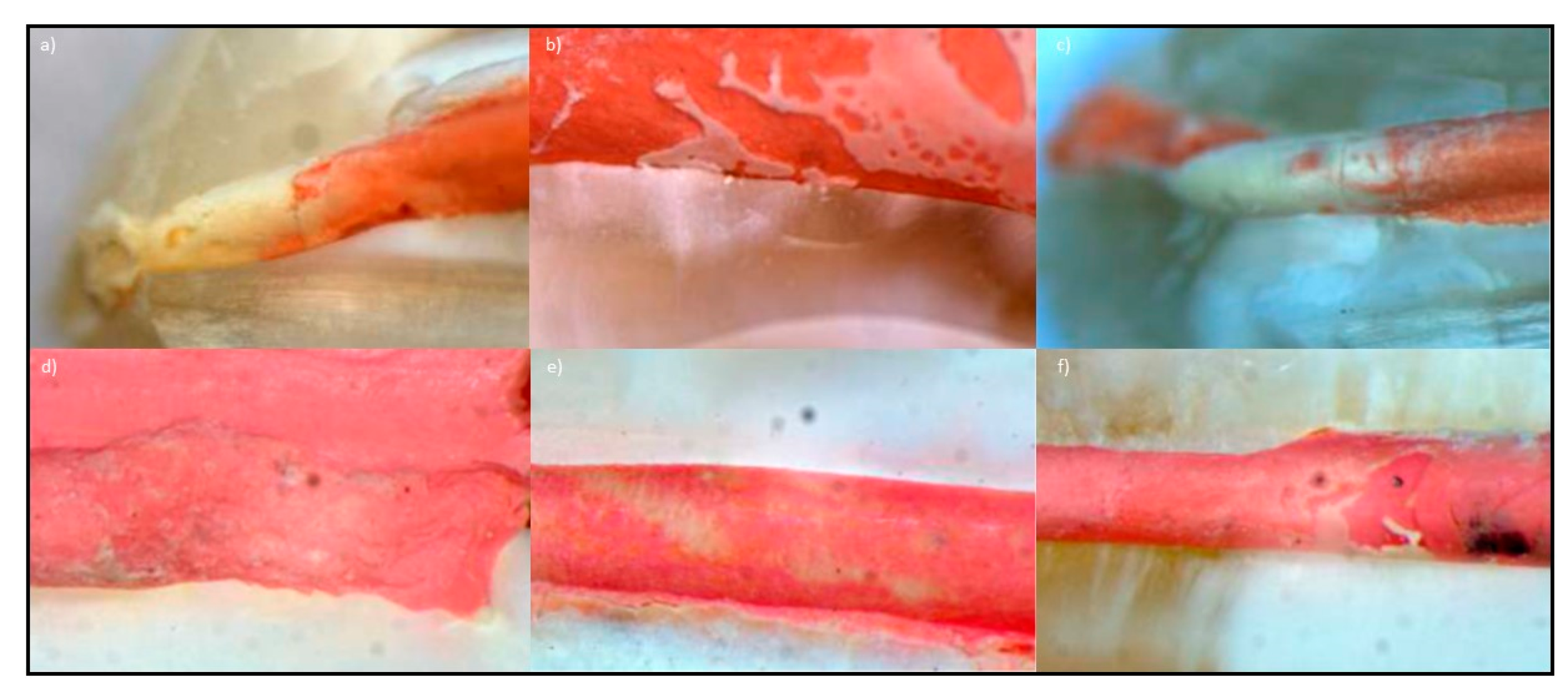 Processes 09 01467 g015