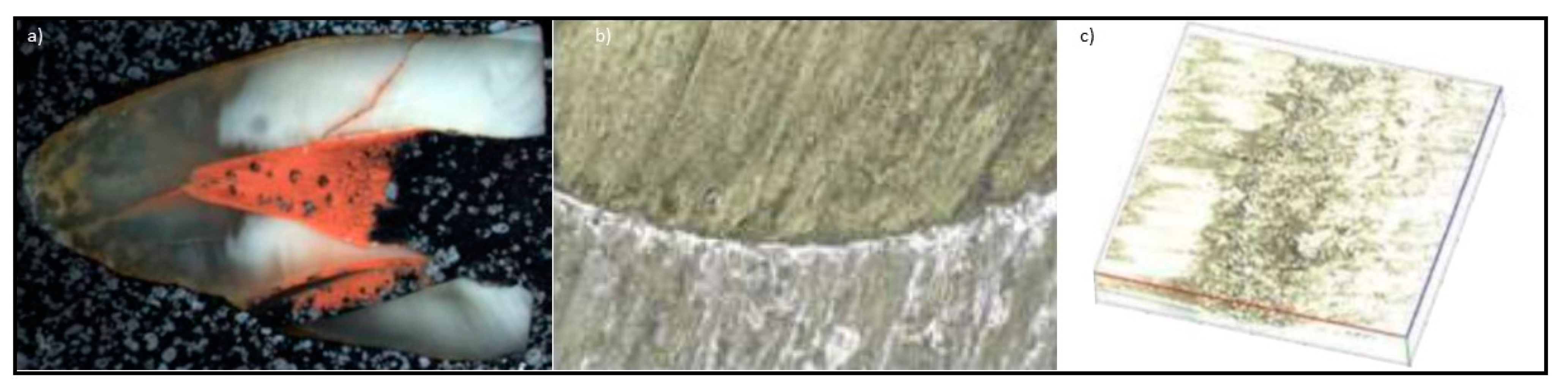 Processes 09 01467 g019