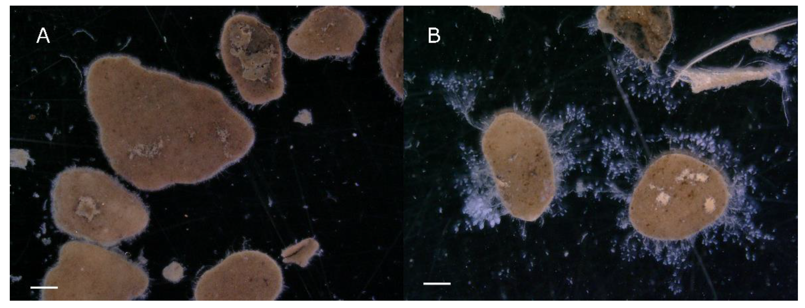 Processes 09 01472 g001
