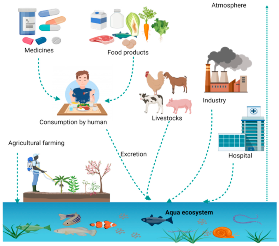 Processes 09 01500 g001