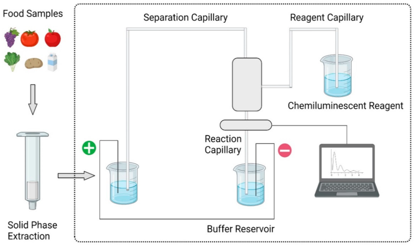 Processes 09 01500 g007