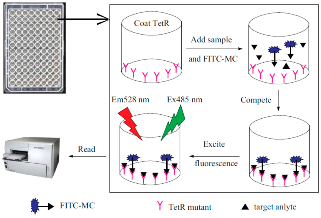 Processes 09 01500 g009