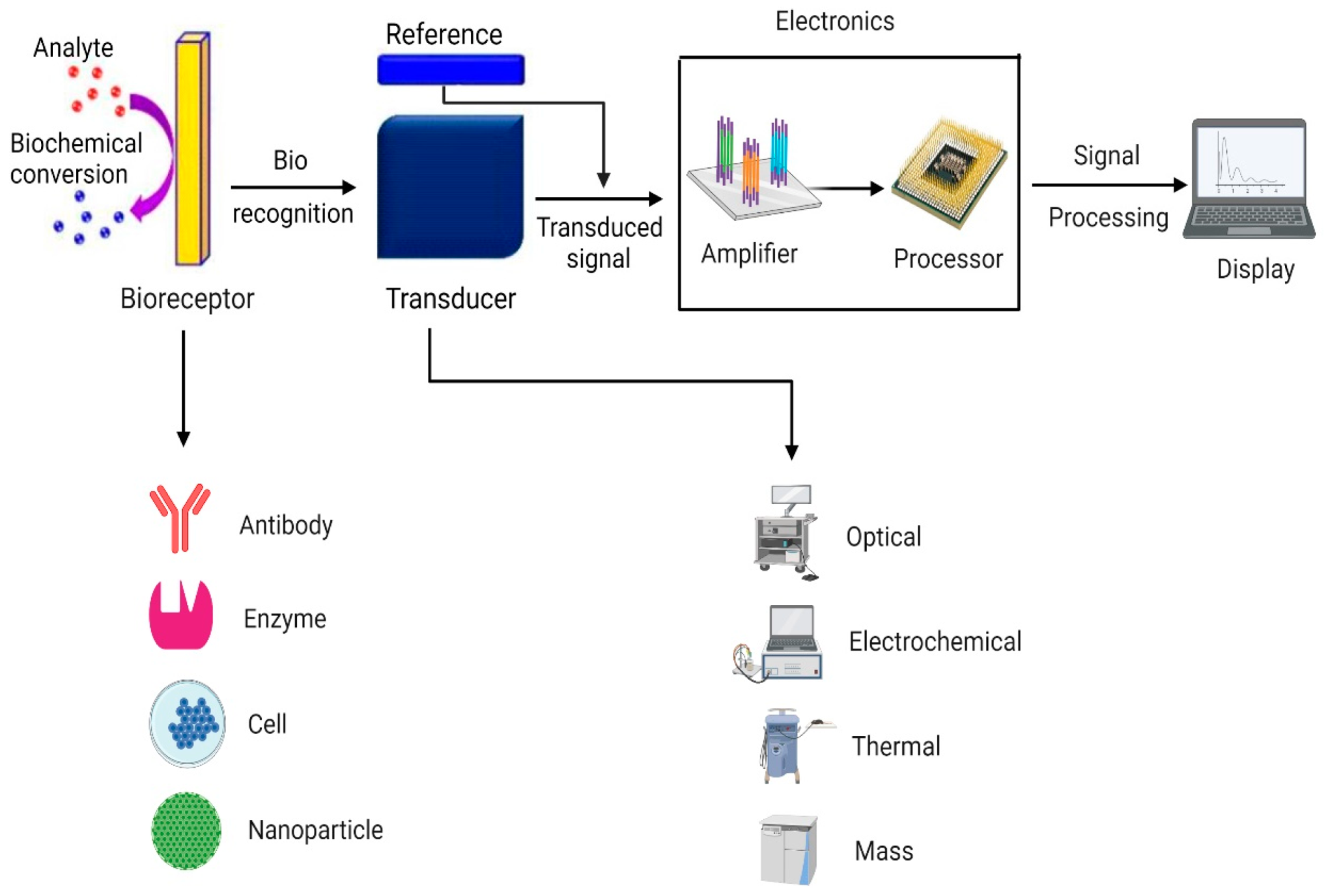 Processes 09 01500 g013