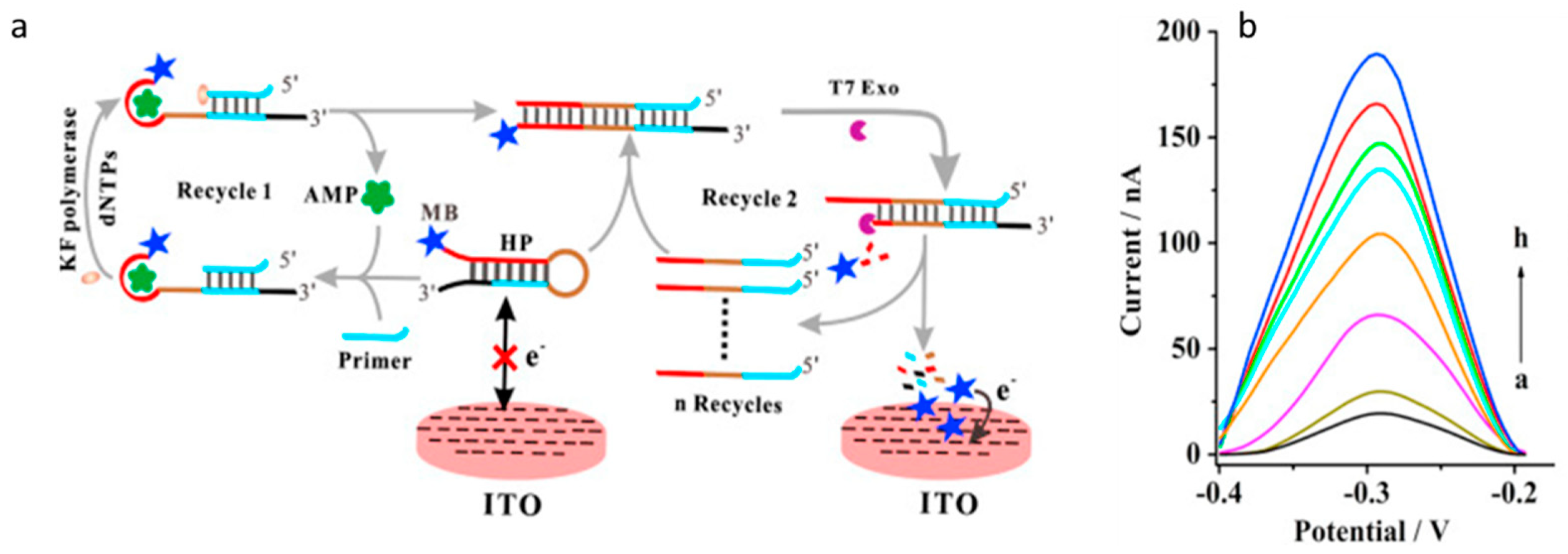 Processes 09 01500 g014