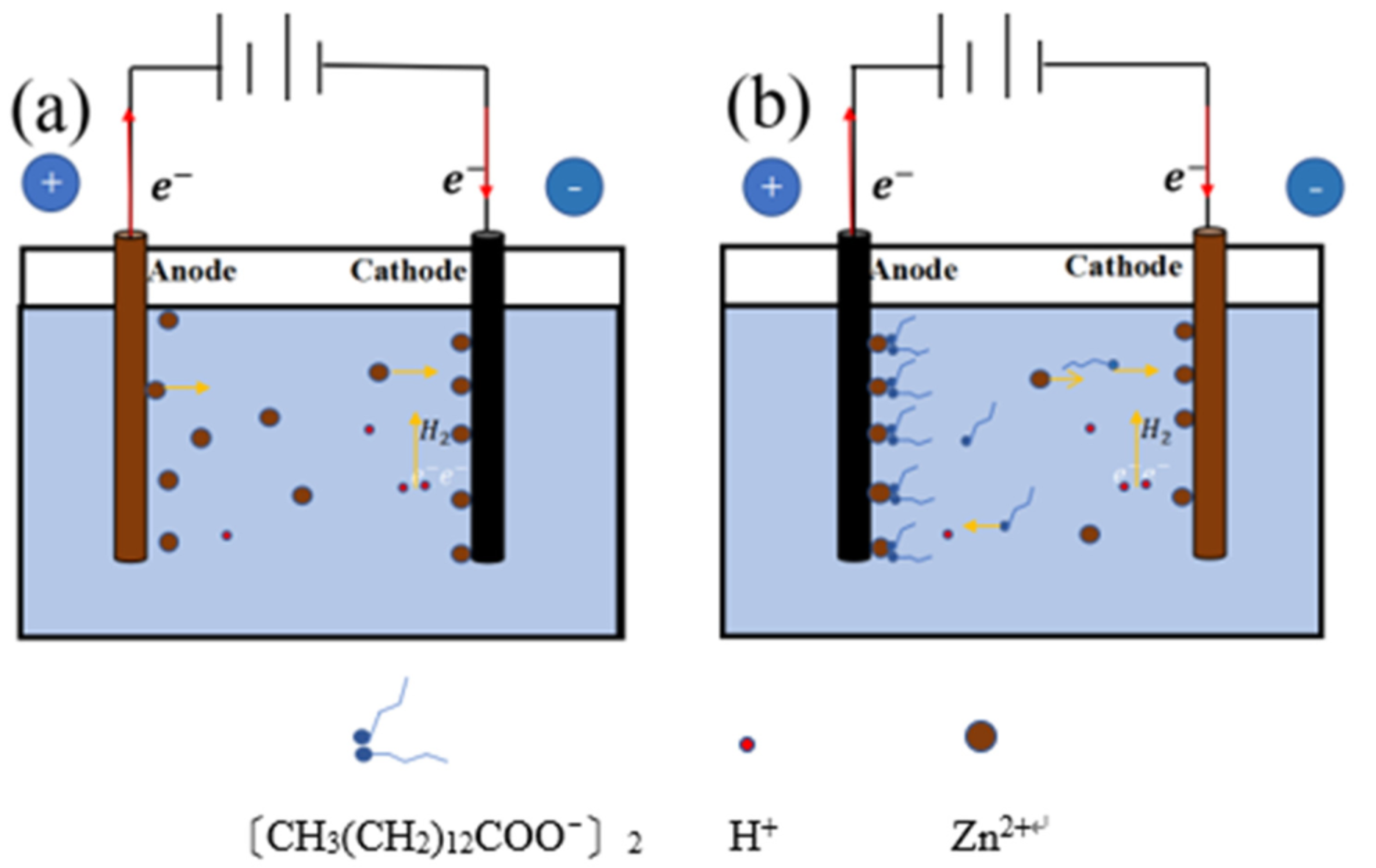 Processes 09 01592 g001
