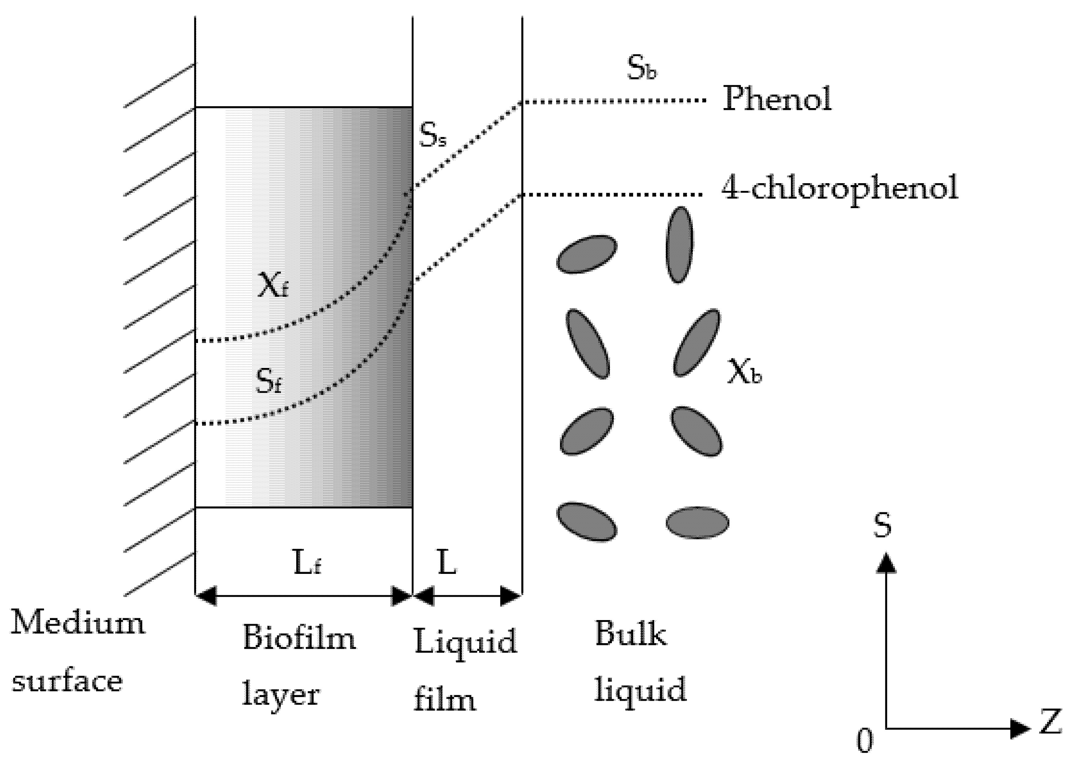Processes 09 01663 g001