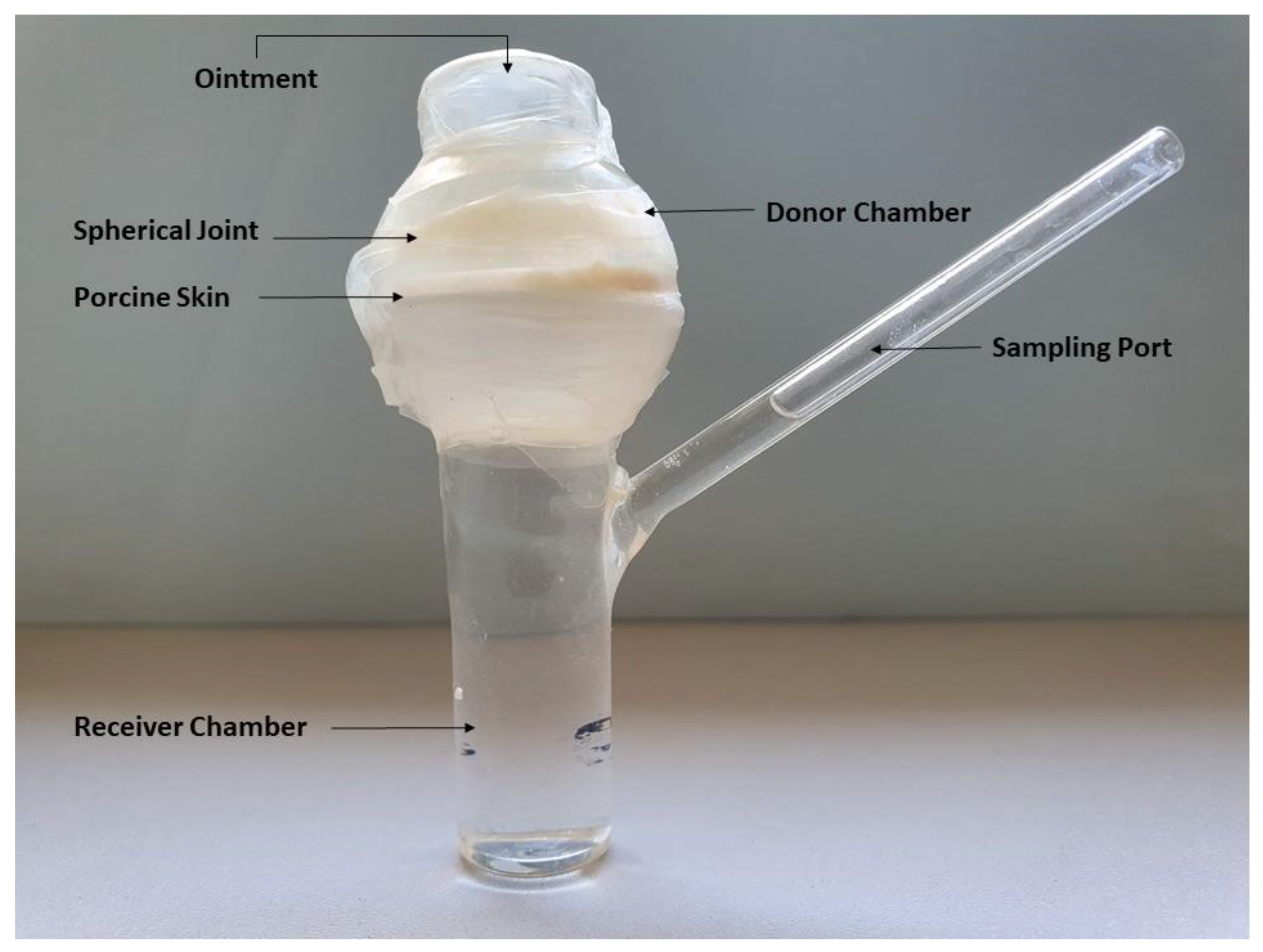 Processes 09 01674 g001