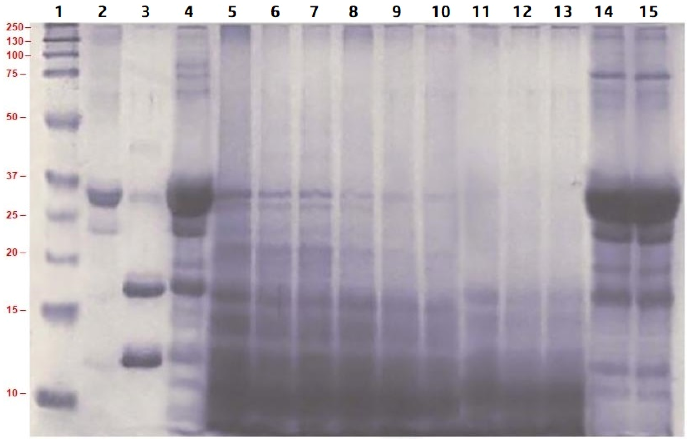 Processes 09 01688 g004