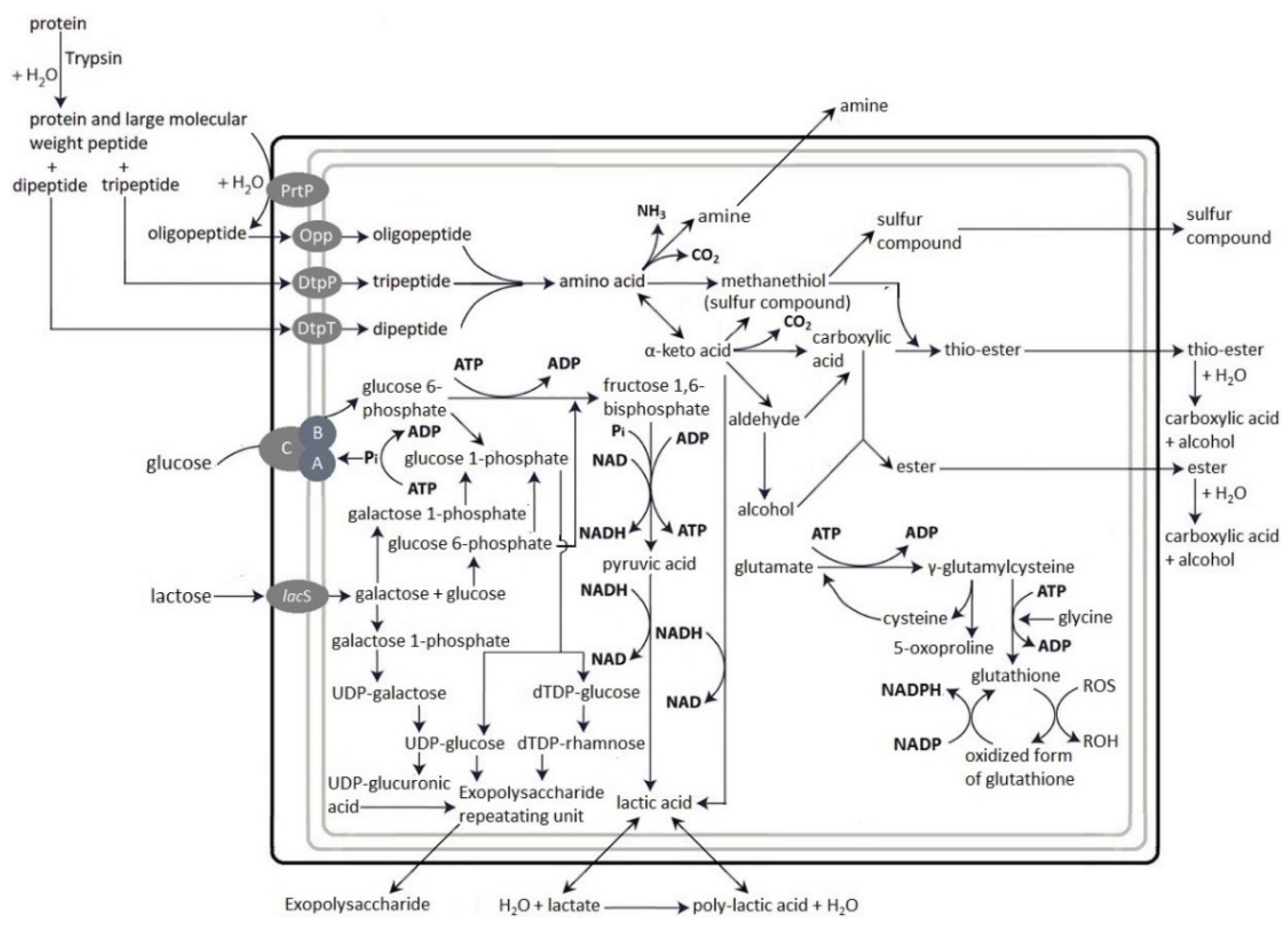 Processes 09 01688 g007