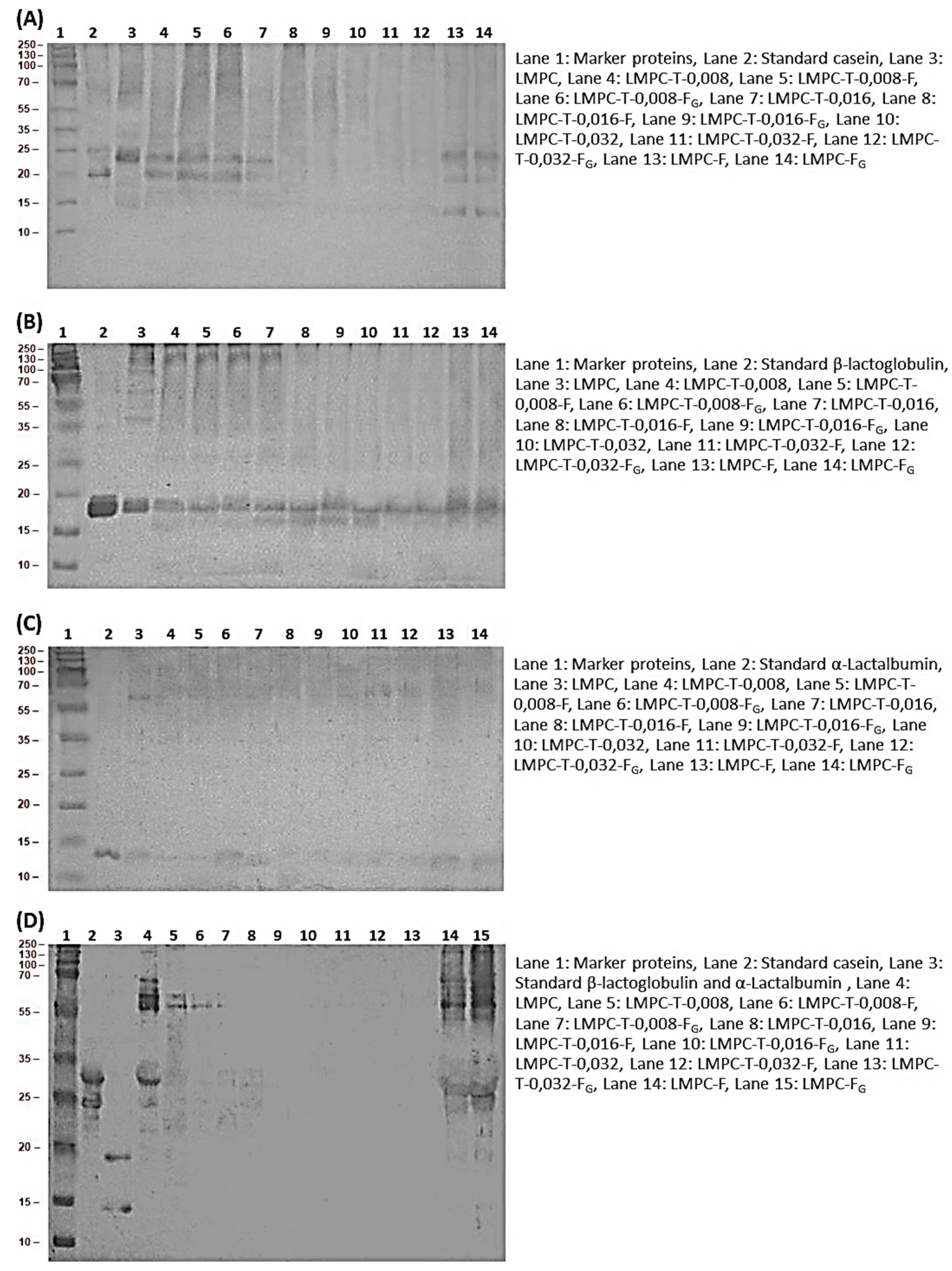 Processes 09 01688 g012