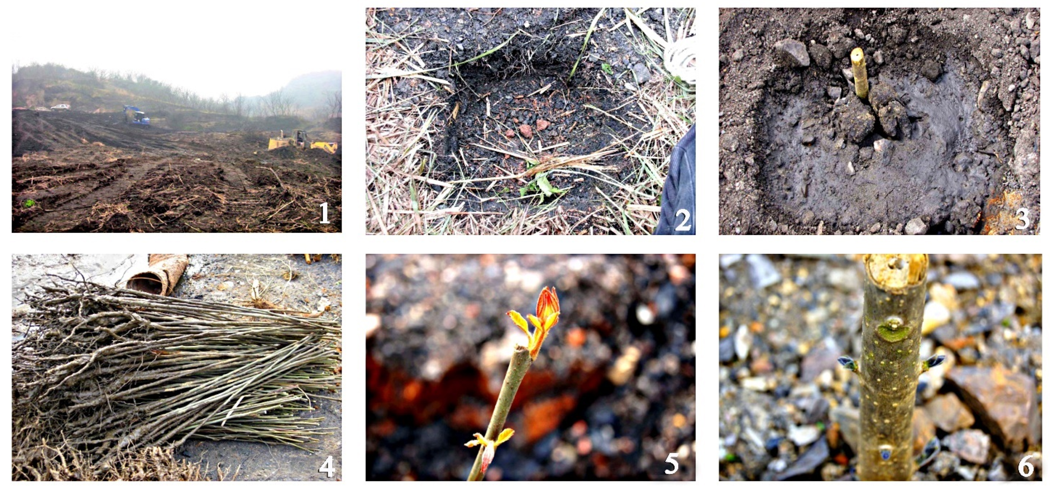 Processes 09 01702 g004