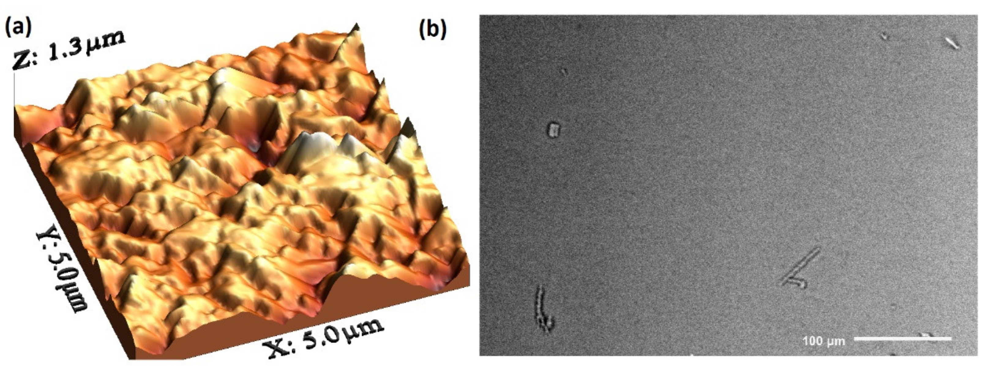 Processes 09 01776 g002a
