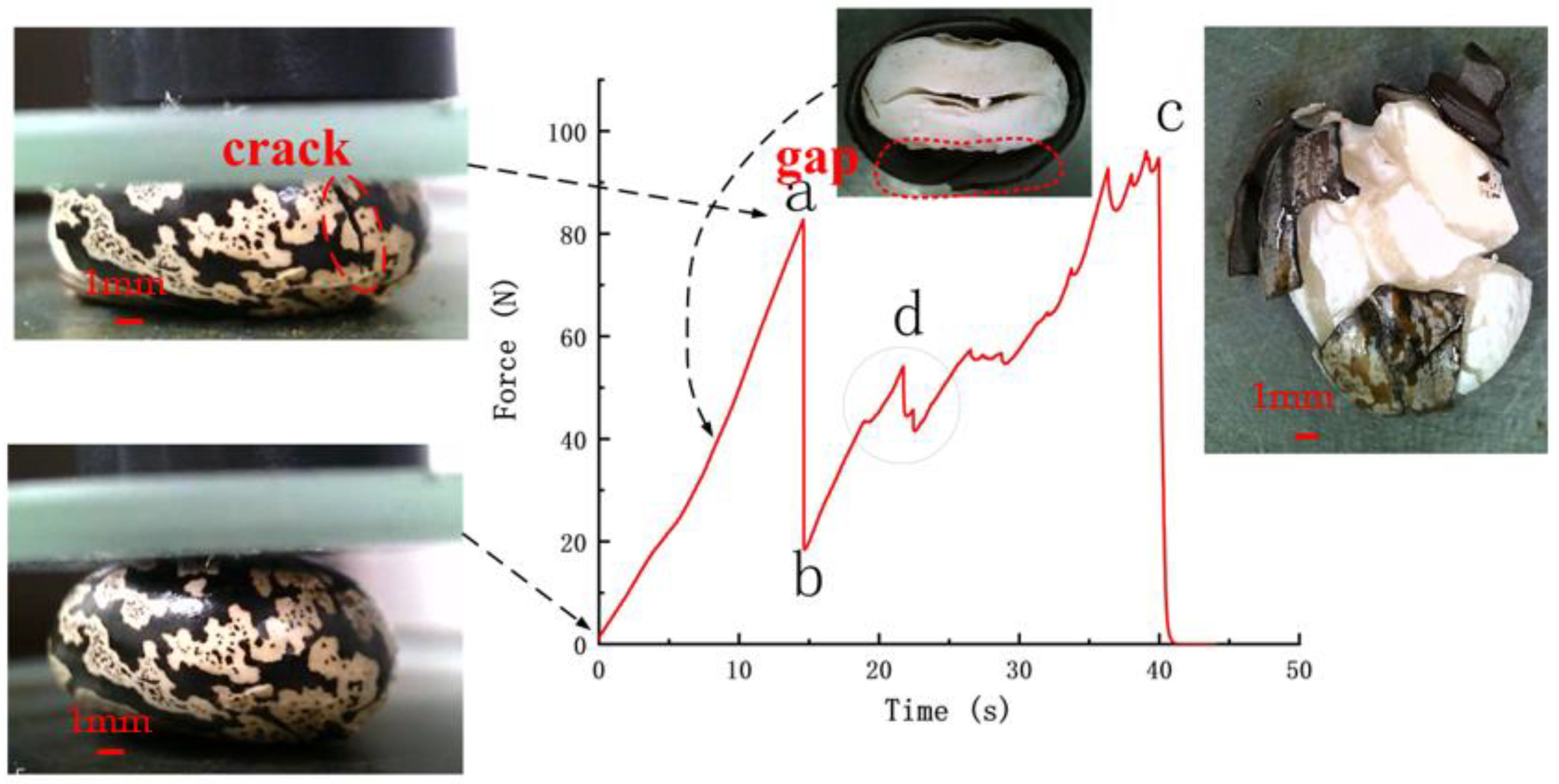 Processes 09 01777 g002